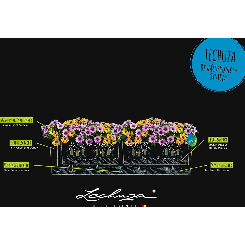 Schema eines Lechuza Bewässerungssystems mit Blumen und Beschriftungen.