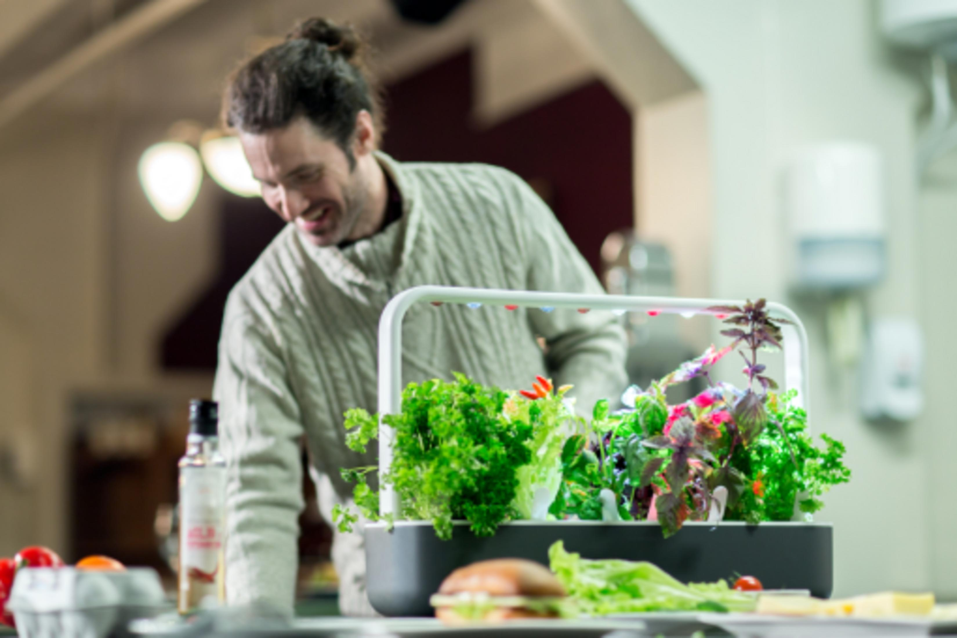 Man buigt zich over planten in een hydrocultuur tuin met verse kruiden en groenten.