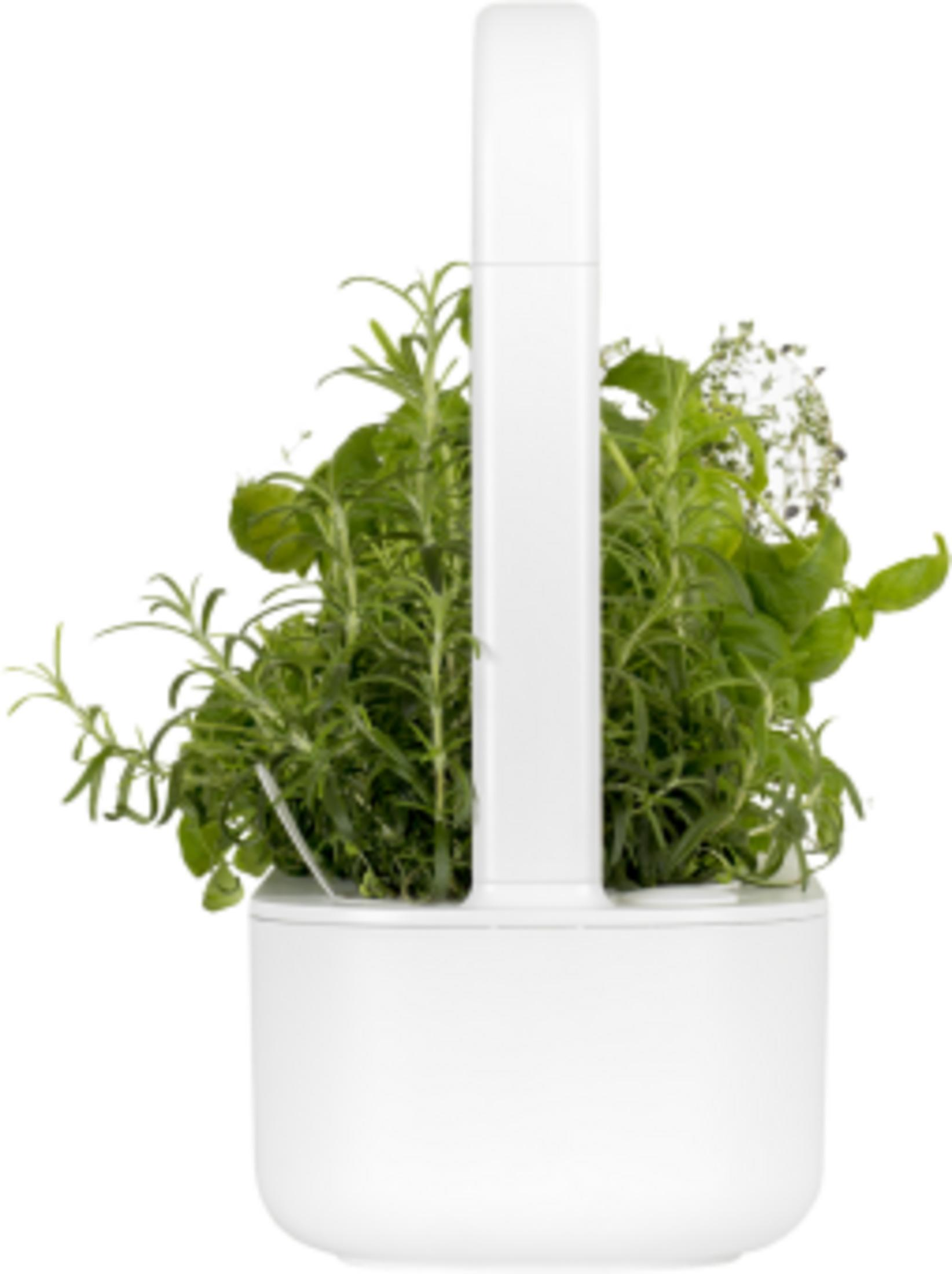 Un pot blanc avec des herbes vertes et un élément vertical blanc.
