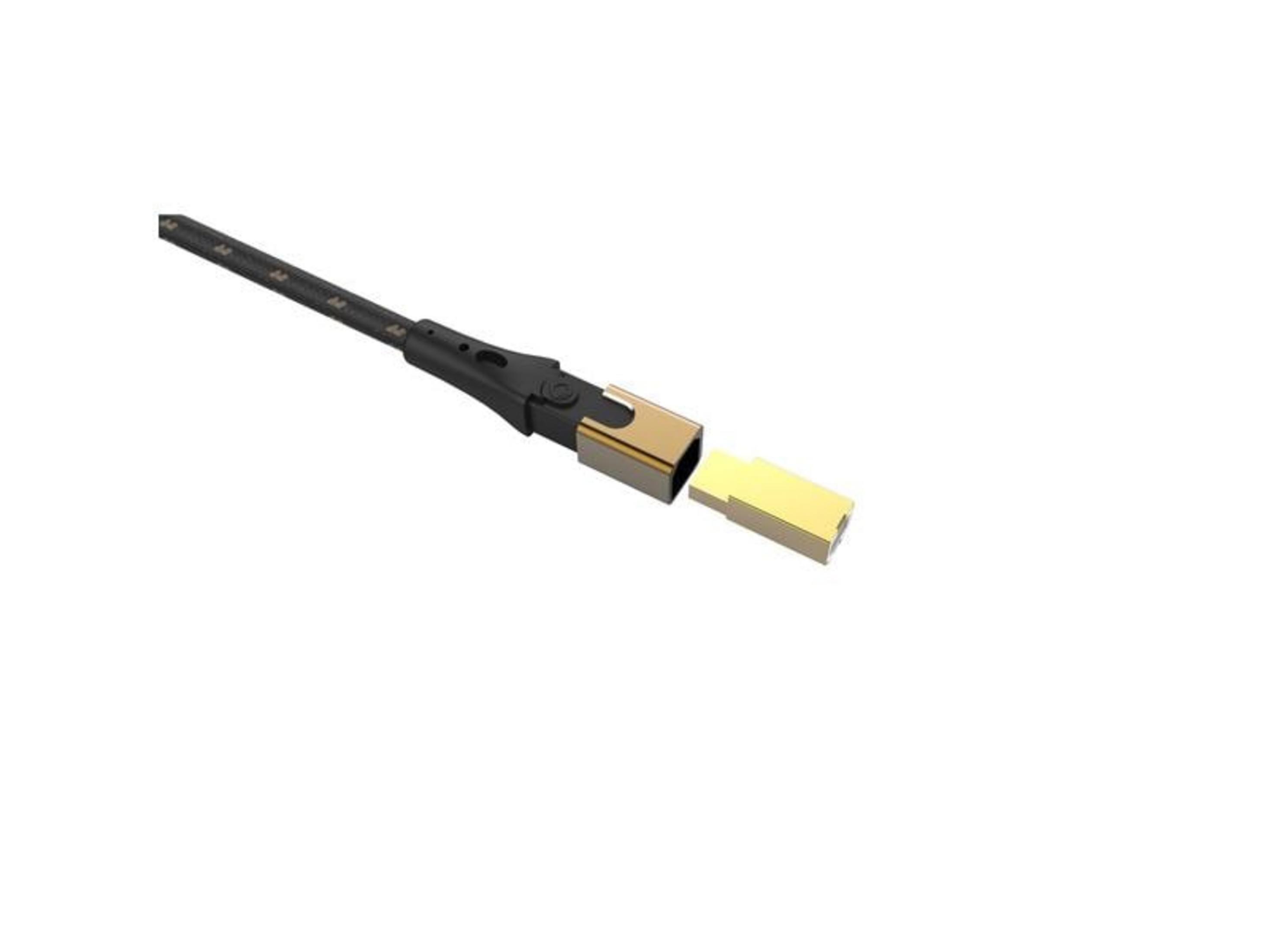 Ein schwarzes Kabel mit goldenem Stecker, das sich von einem schwarzen Gehäuse löst.