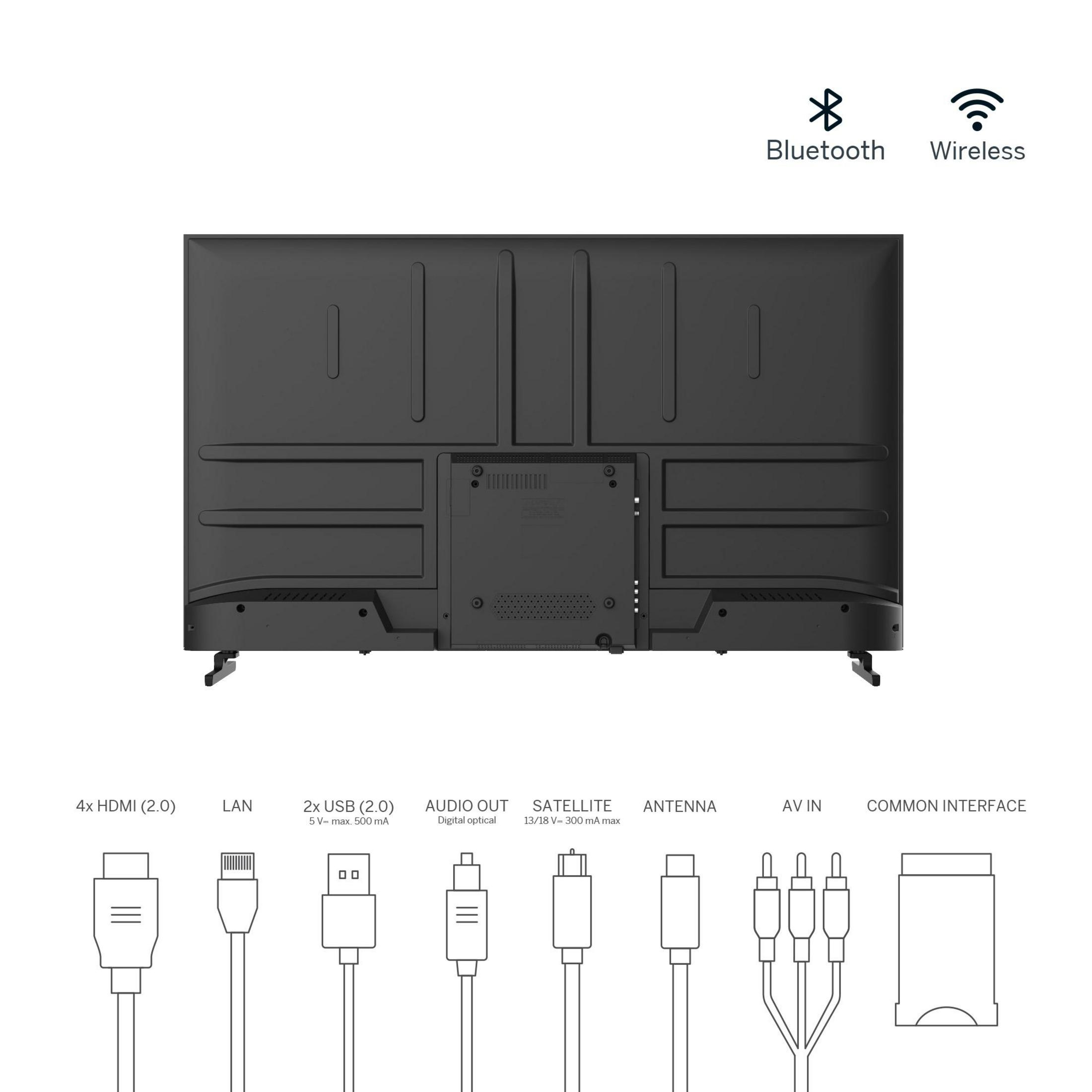 Retro di una TV con porte: HDMI, LAN, USB, Uscita Audio, Satellite, Antenna, AV In, Common Interface.