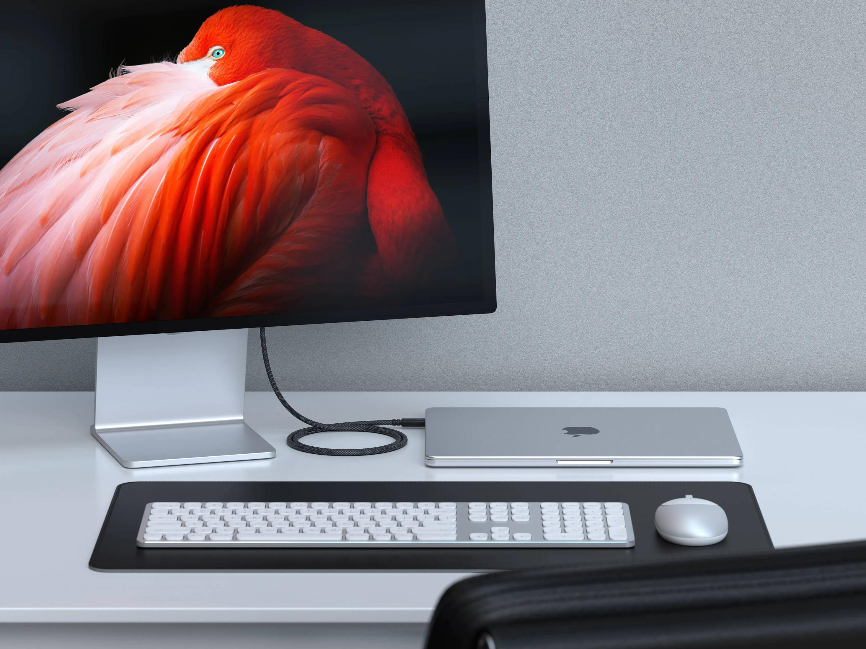 Una configurazione di computer con un monitor che mostra un fenicottero.
