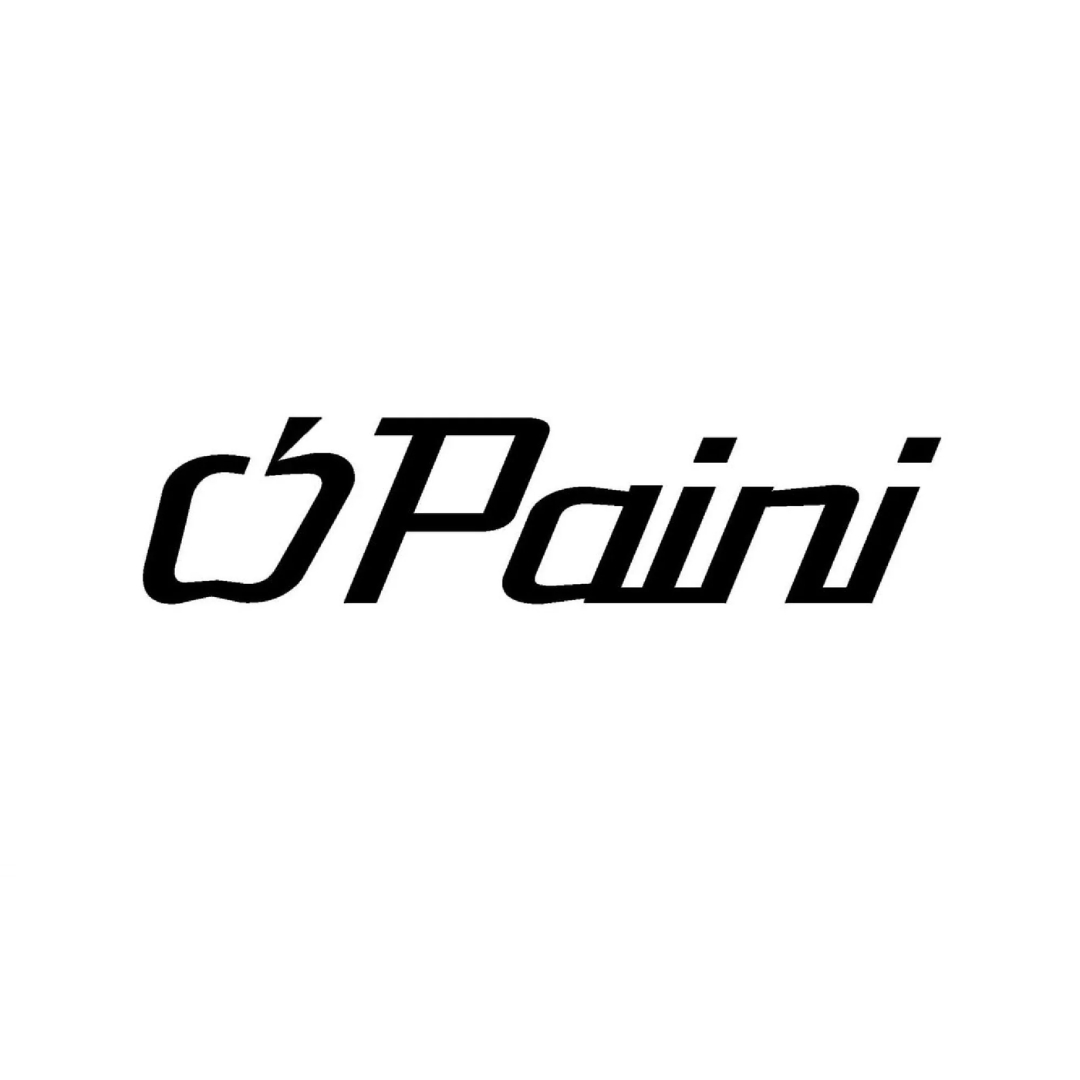 Un logo nero con una mela stilizzata e la parola 'Painini'.