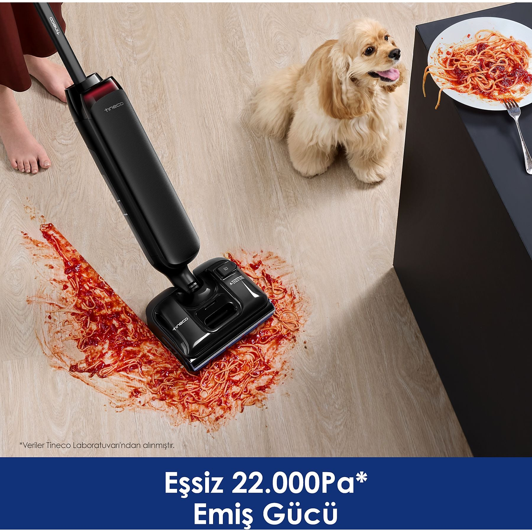 Bir köpek, yerleri temizleyen elektrikli süpürgenin yanında dökülmüş spagetti yemeğinin yanında oturuyor.