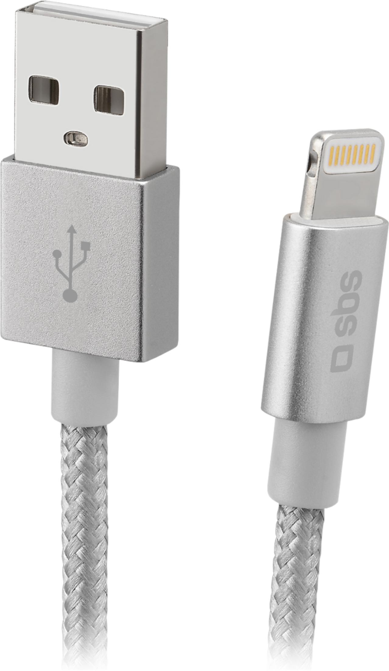 Un cavo USB-A argentato e un cavo Lightning in tessuto intrecciato.