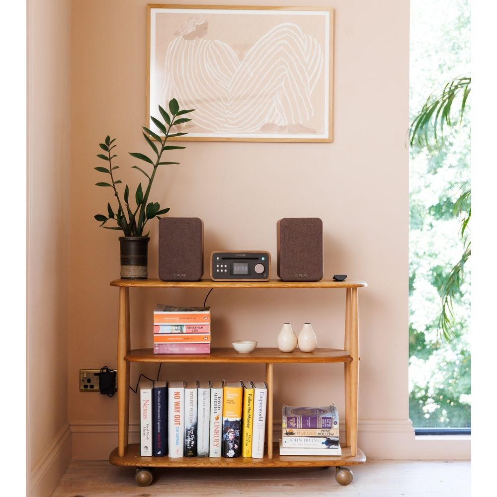 Ein Holzregal mit Lautsprechern, Radio, Büchern und Pflanzen.