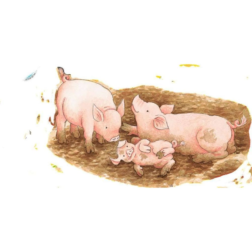 Trois cochons roses jouent dans la boue. L'un est couché sur le dos.