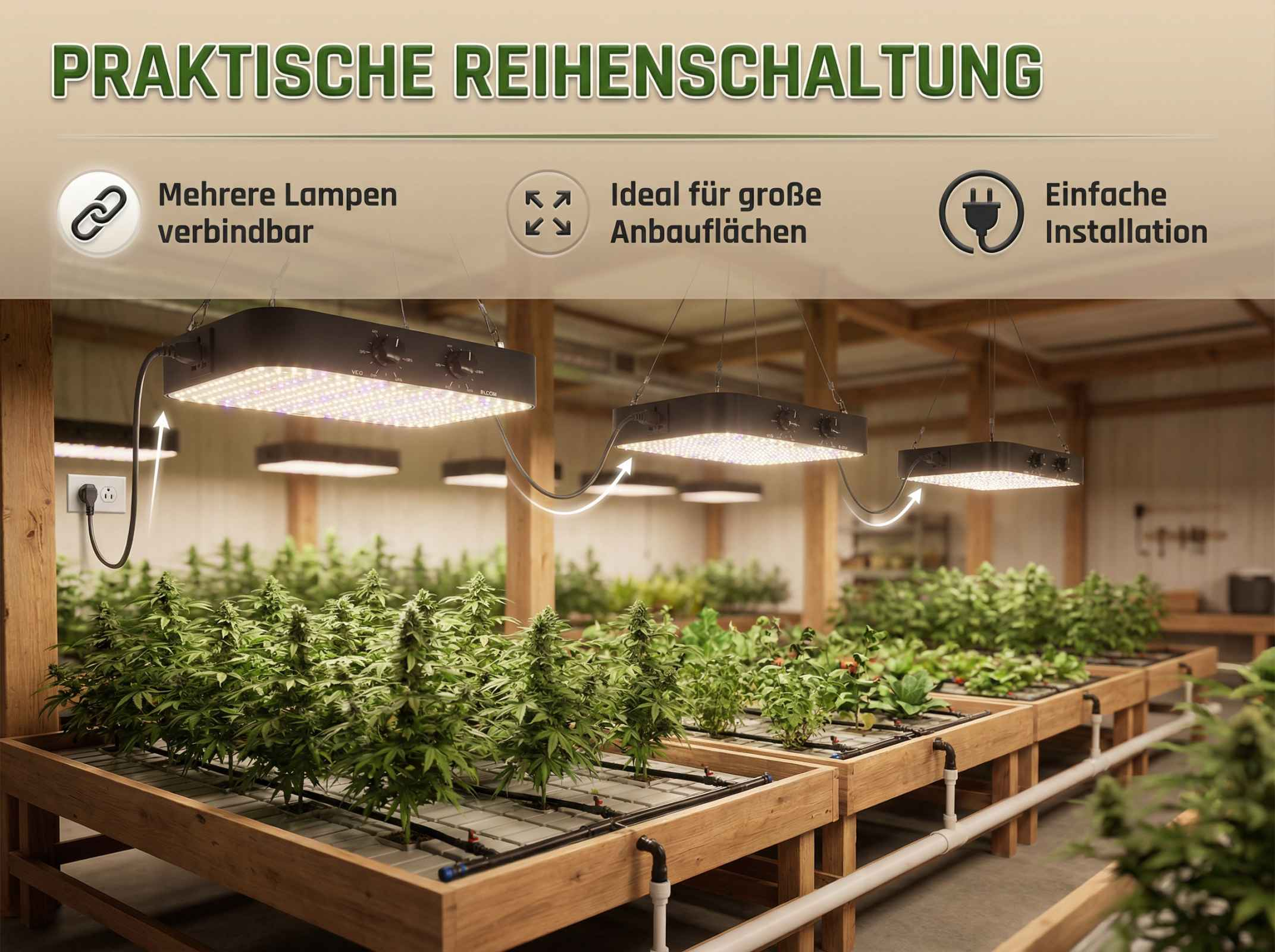 Mehrere LED-Pflanzenlampen beleuchten einen Innenanbau mit jungen Pflanzen.