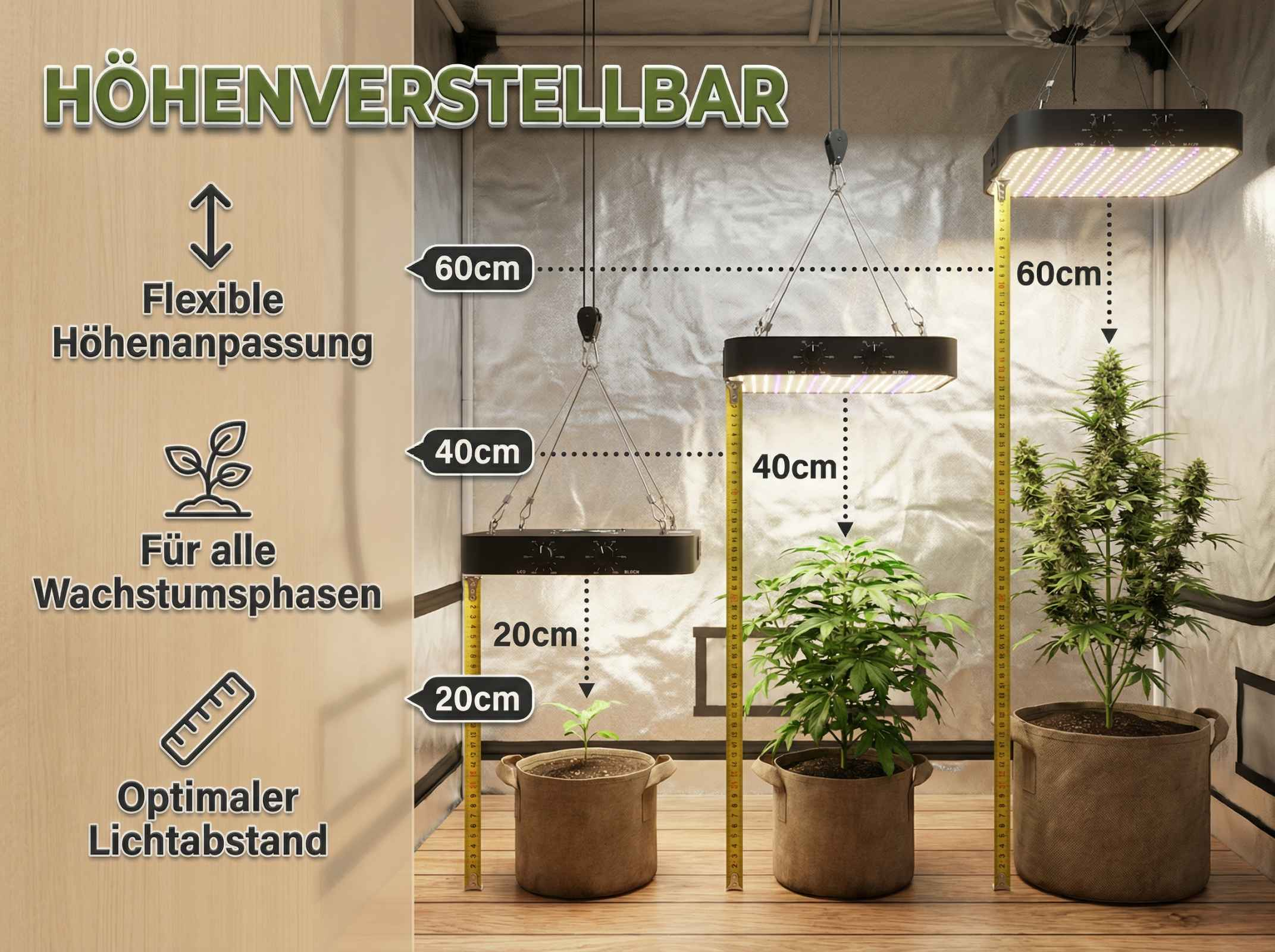 Höhenverstellbare Grow-Lampen mit Pflanzen in verschiedenen Wachstumsphasen.