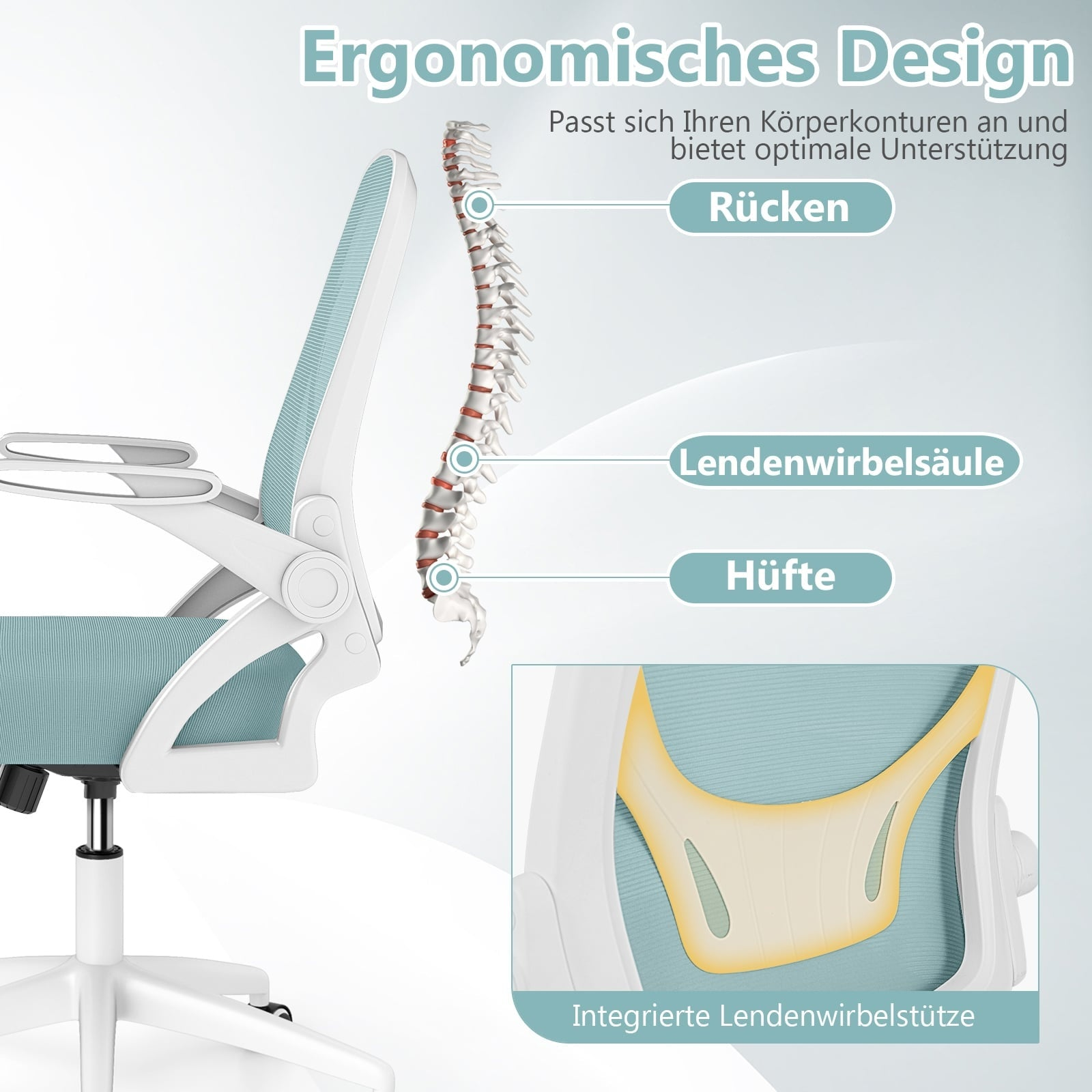 Ergonomic office chair showing spine support and lumbar detail.