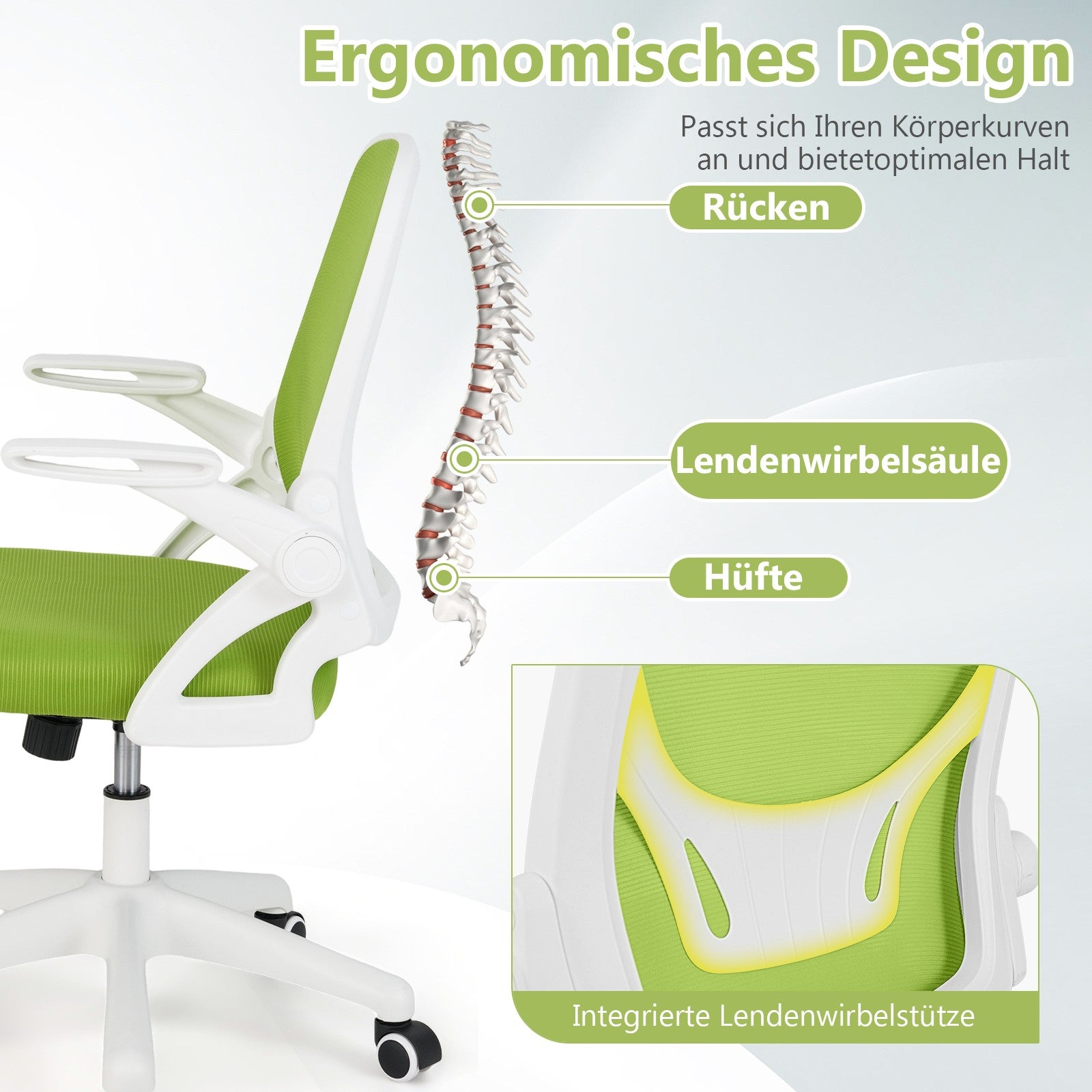 Ergonomic office chair with lumbar support and spine curve adjustment.