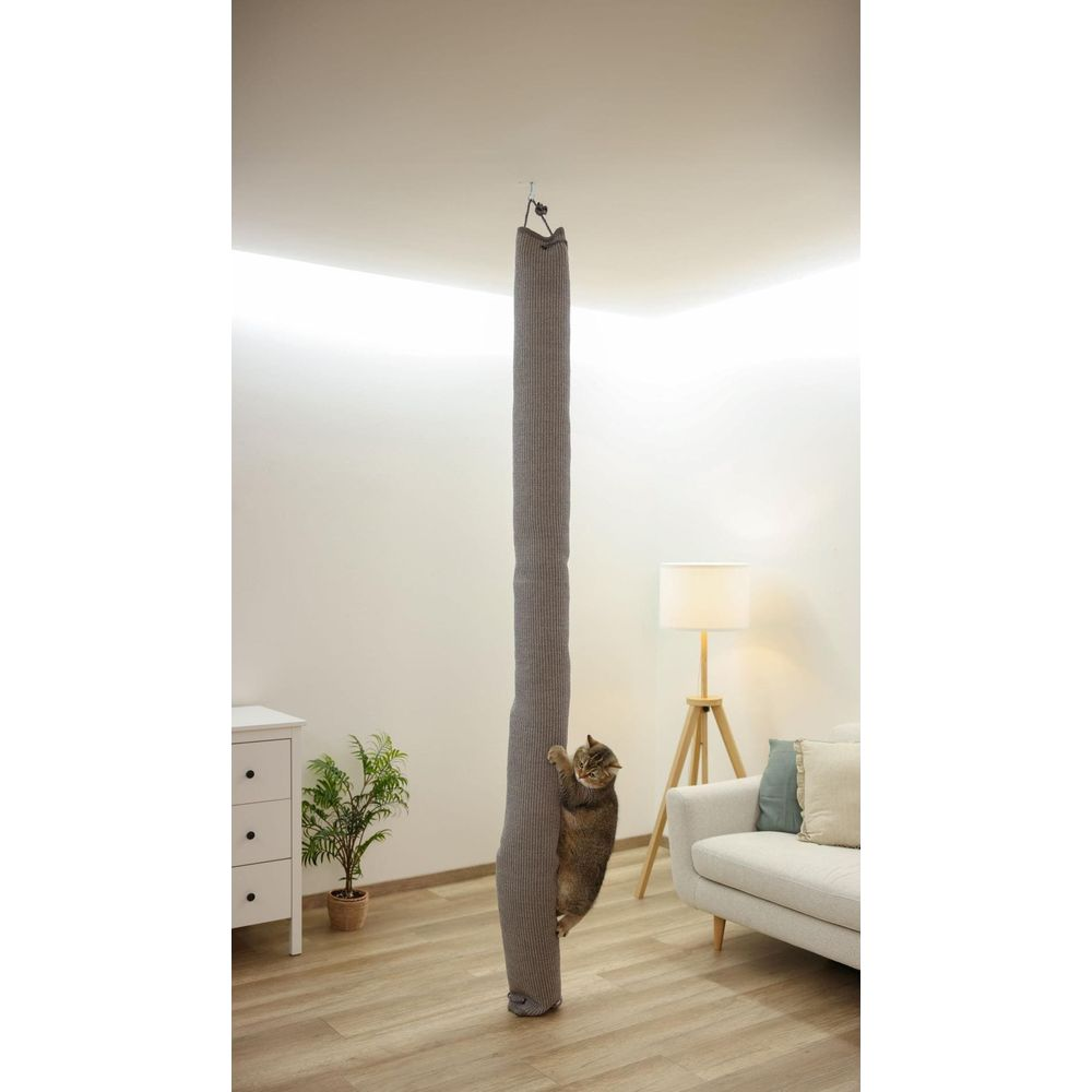 Eine Katze klettert an einem grauen Kratzpfosten, der von der Decke hängt.