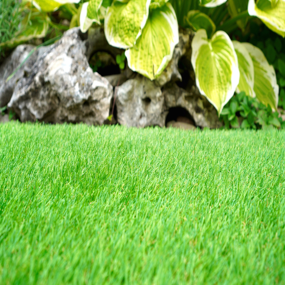 Césped verde al frente, rocas y hojas al fondo.