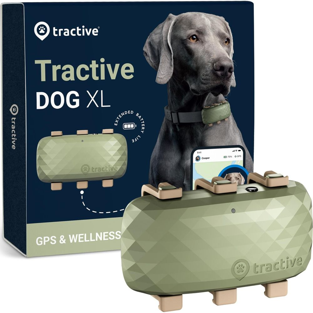 Ein Hundehalsband-Tracker und Verpackung mit einem Hund und Smartphone.