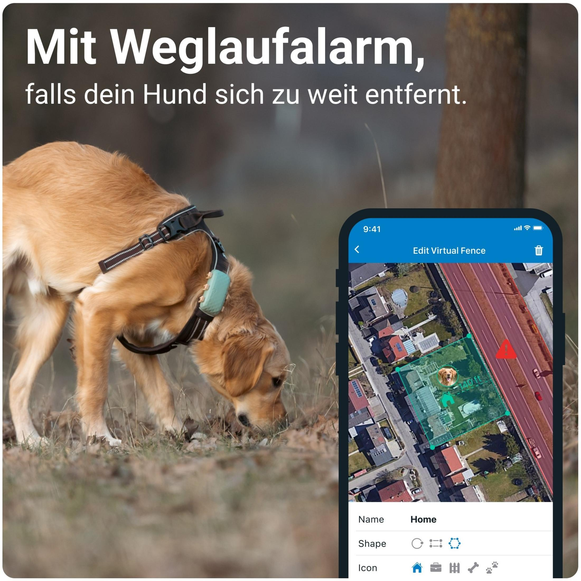 Ein Hund mit GPS-Tracker am Halsband schnüffelt im Gras. Eine App zeigt eine virtuelle Grenze.