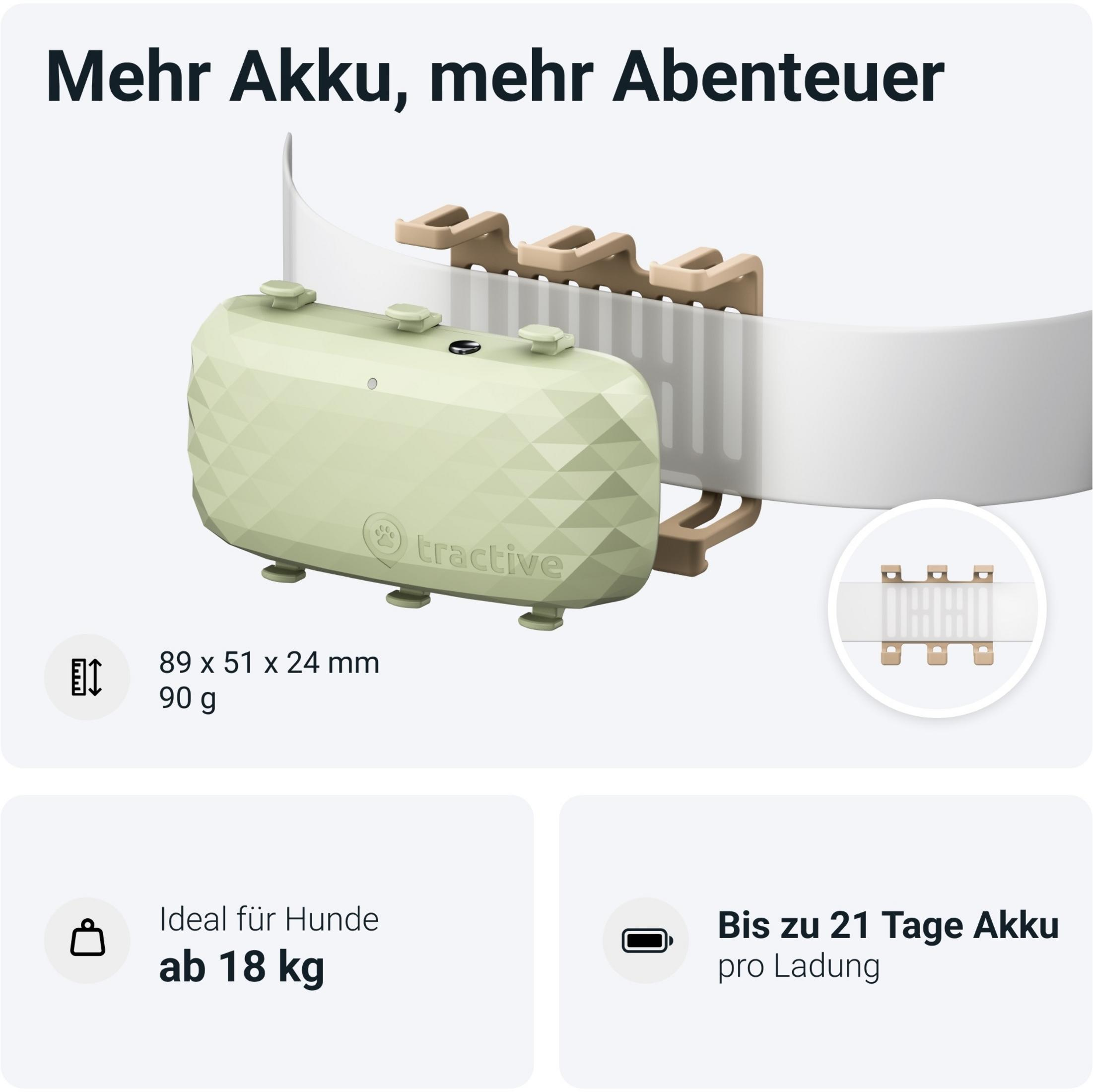 Ein hellgrünes Tractive GPS-Gerät mit Befestigung für Hundehalsbänder.