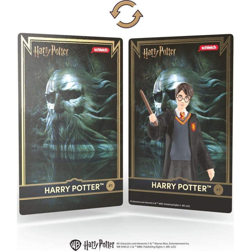 Zwei Harry Potter Sammelkarten mit Figuren: eine mit einem Schädel, eine mit Harry.