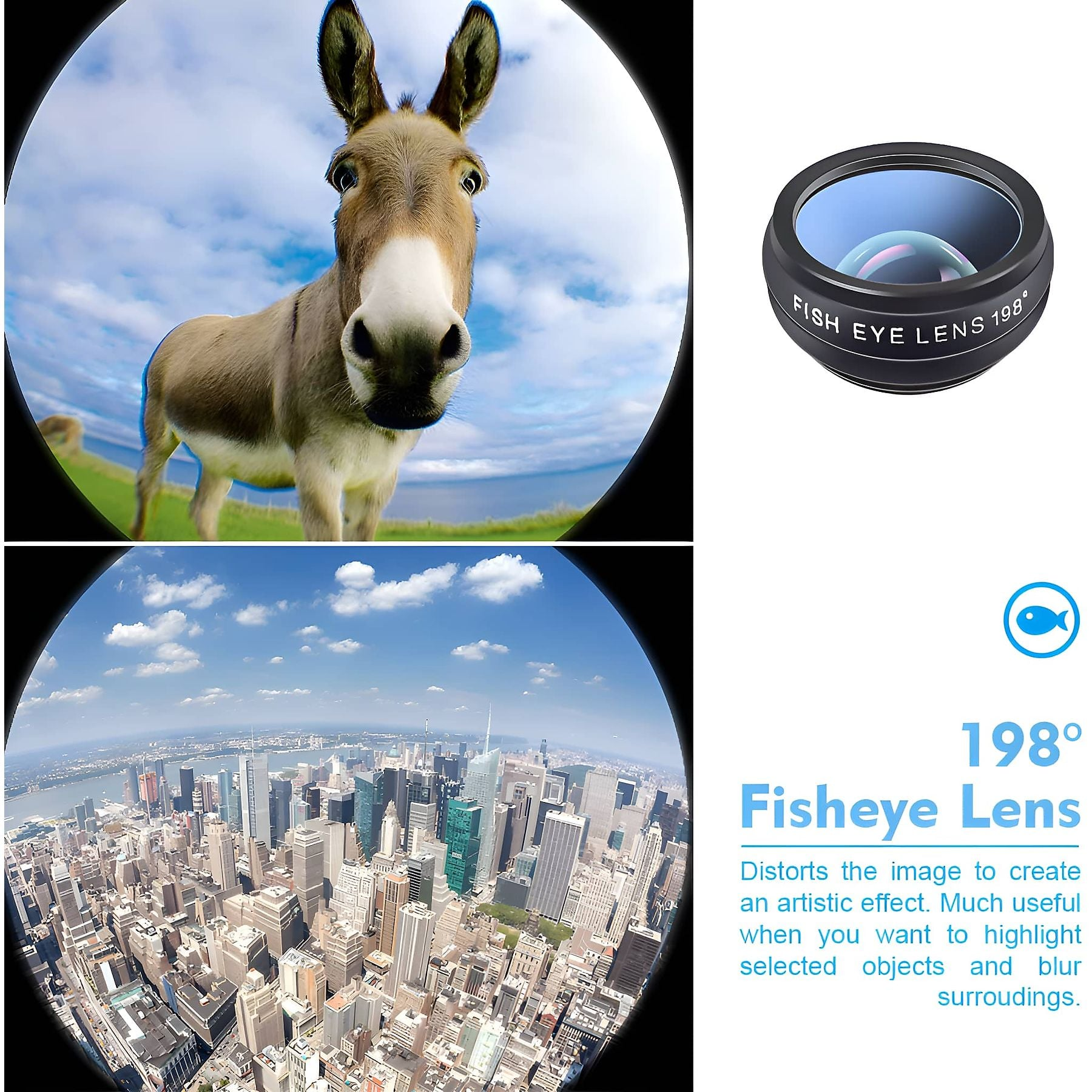 Ein Esel und eine Stadtansicht, aufgenommen mit einer Fisheye-Linse.