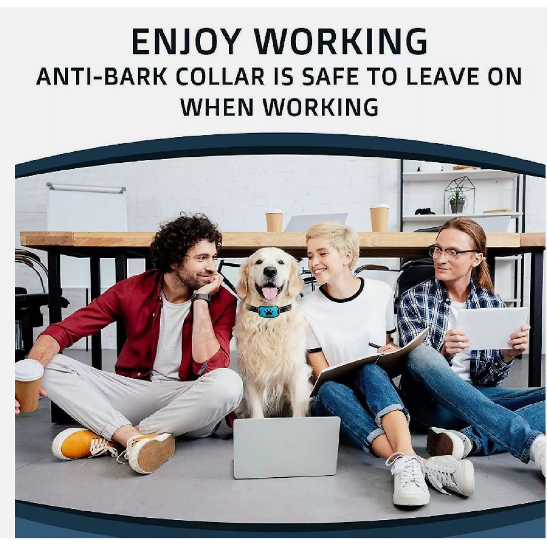 Drei Personen und ein Hund sitzen auf dem Boden um einen Laptop.