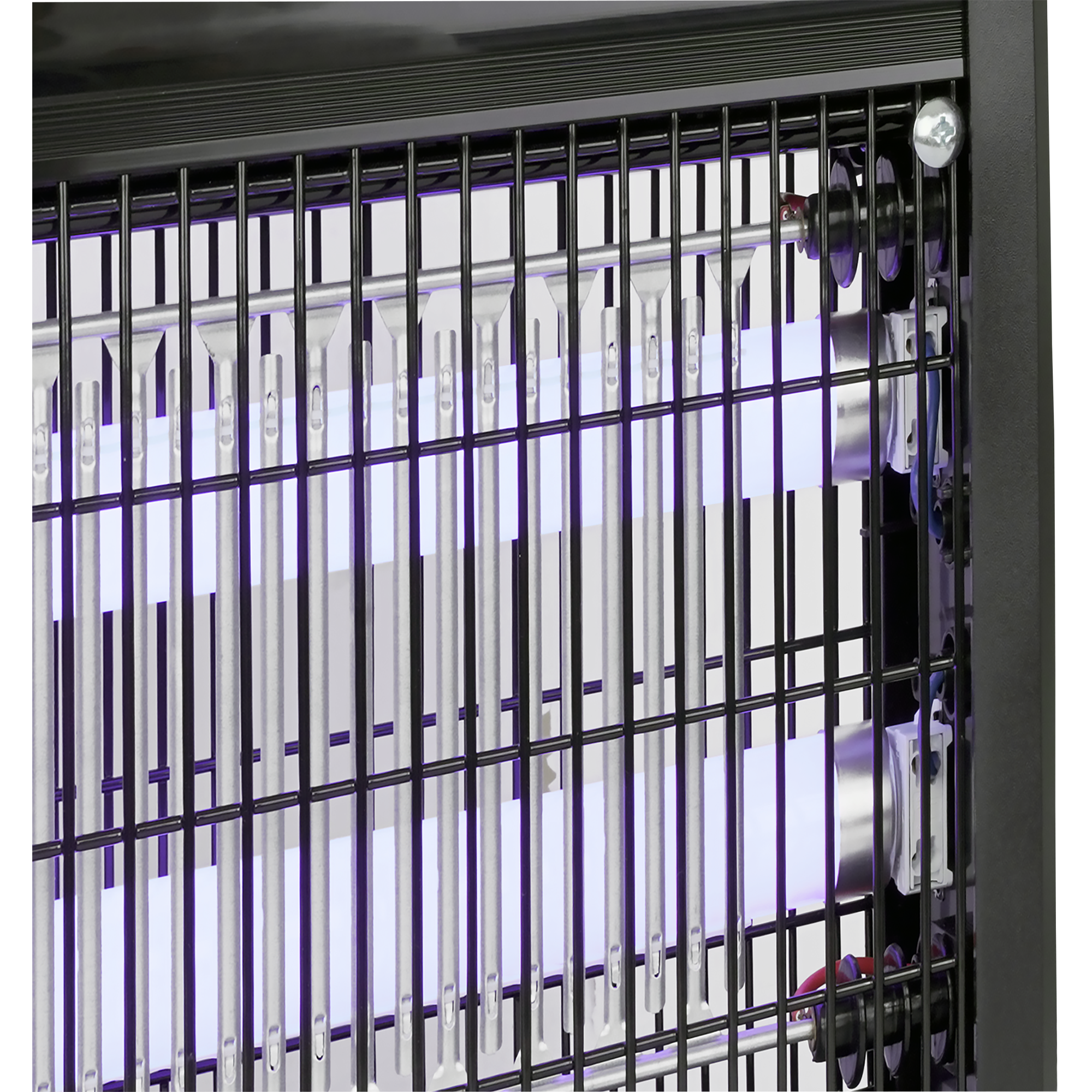 Primo piano di un insetticida con tubi luminosi viola dietro una griglia nera.
