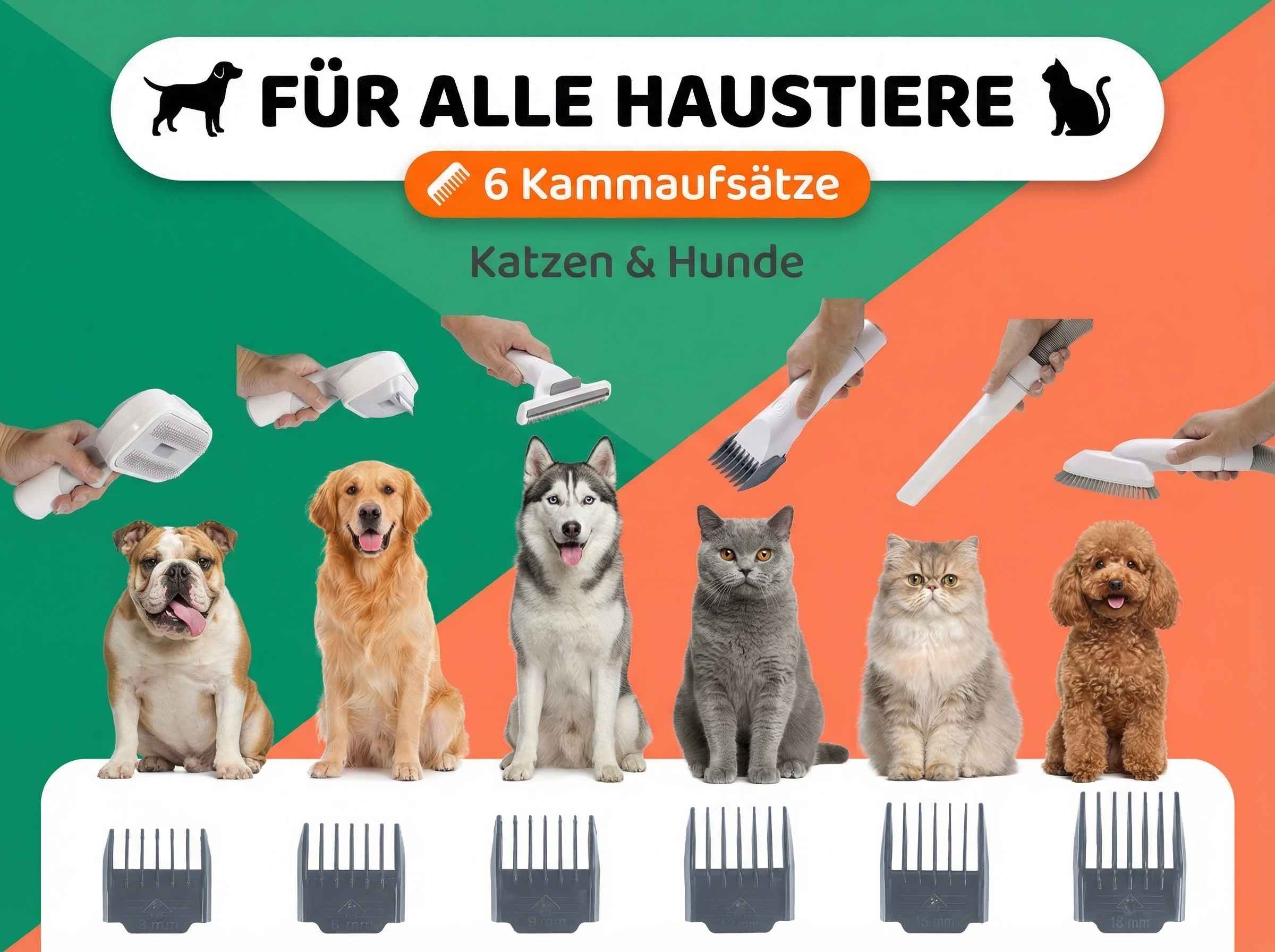Sechs Kammaufsätze für Haustiere, mit Hunden und Katzen.