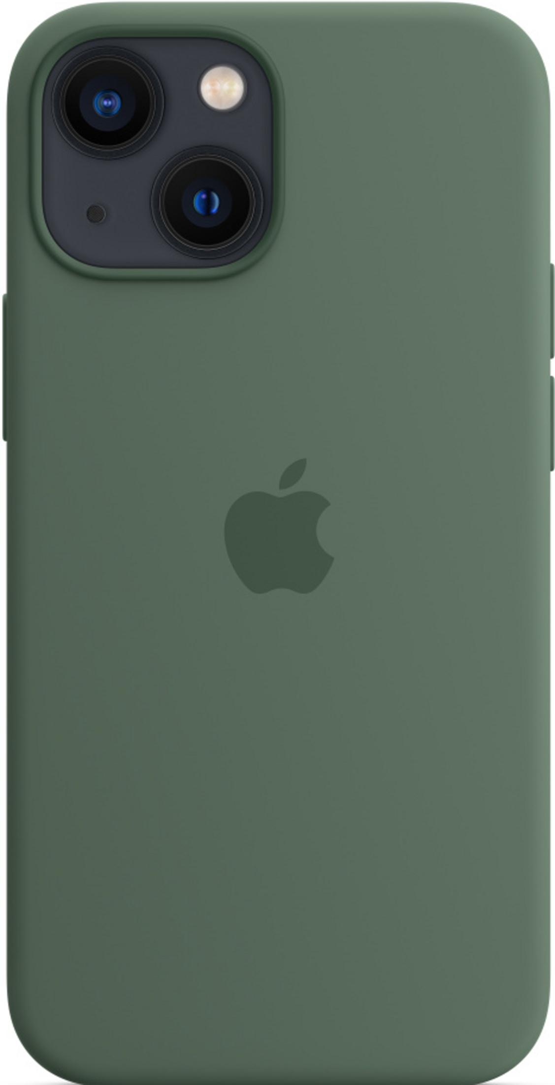 Grüne iPhone-Hülle mit Apple-Logo und Doppelkamera-Ausschnitt.