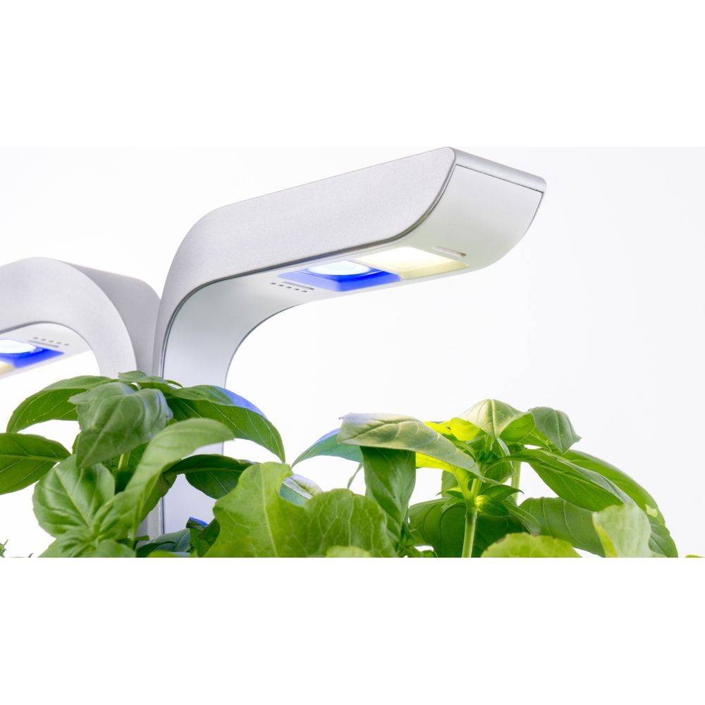 Piante verdi crescono sotto lampade LED argentate con luce blu e bianca.
