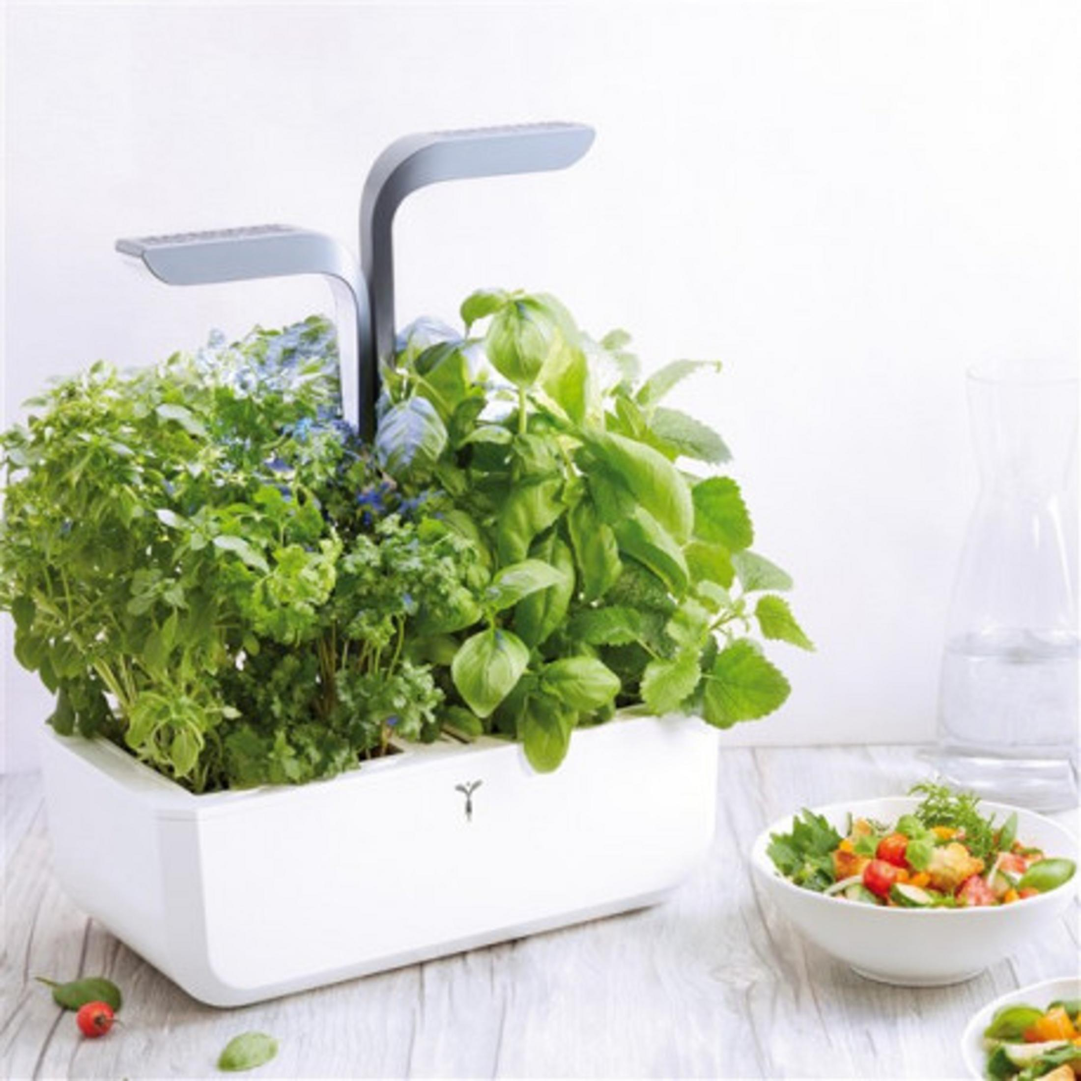 Un orto bianco con luci LED e un'insalata accanto.