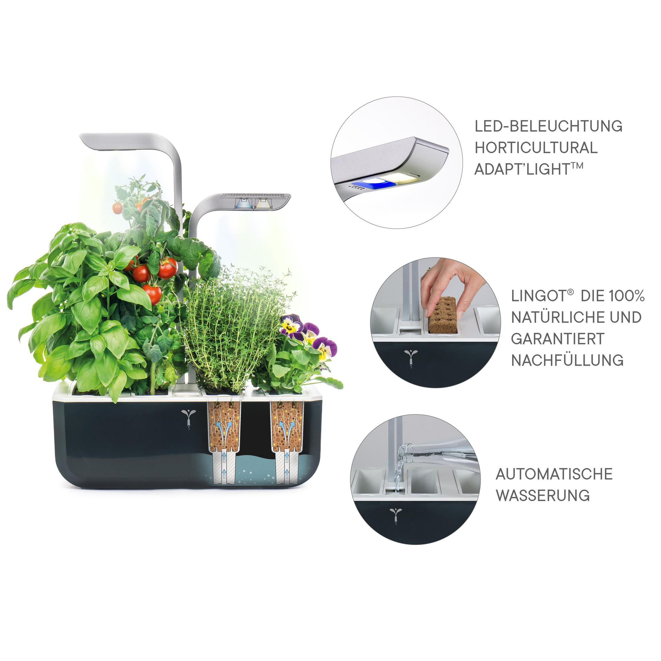 Ein intelligenter Indoor-Garten mit Kräutern, Tomaten und Blumen.