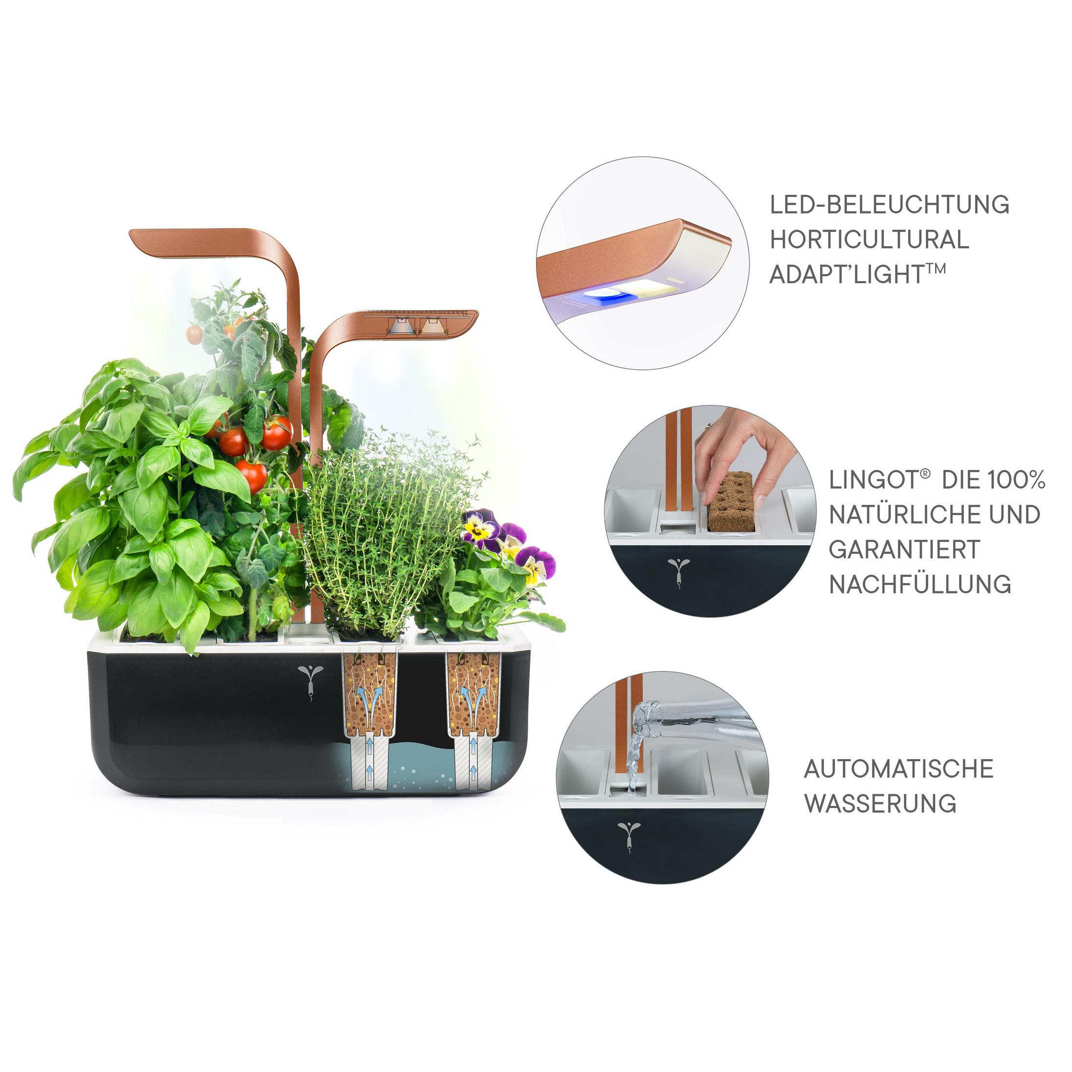 Ein Kräutergarten mit LED-Licht und automatischer Bewässerung.