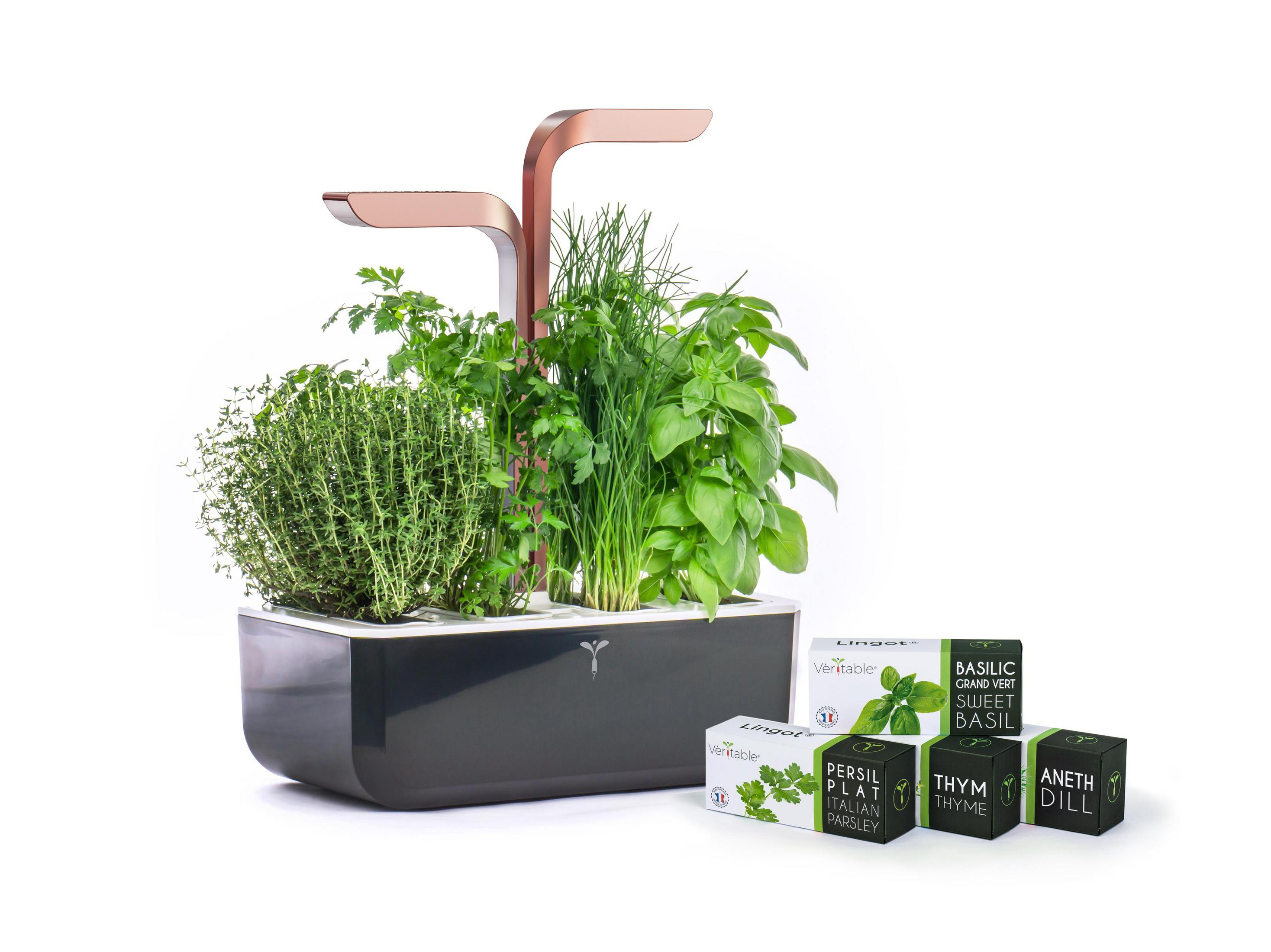 Ein Kräutergarten mit LED-Licht und vier Saatgutpackungen daneben.