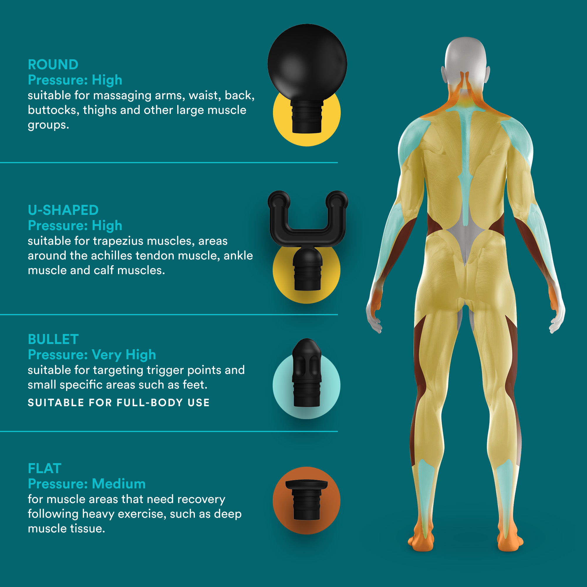 Illustration zeigt Massageaufsätze und Muskelanatomie.