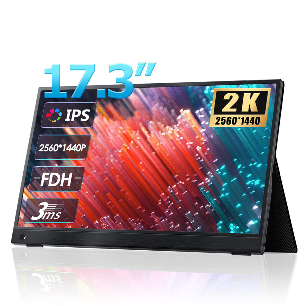 17,3-Zoll-2K-IPS-Monitor mit 2560x1440 Auflösung und 3ms Reaktionszeit.