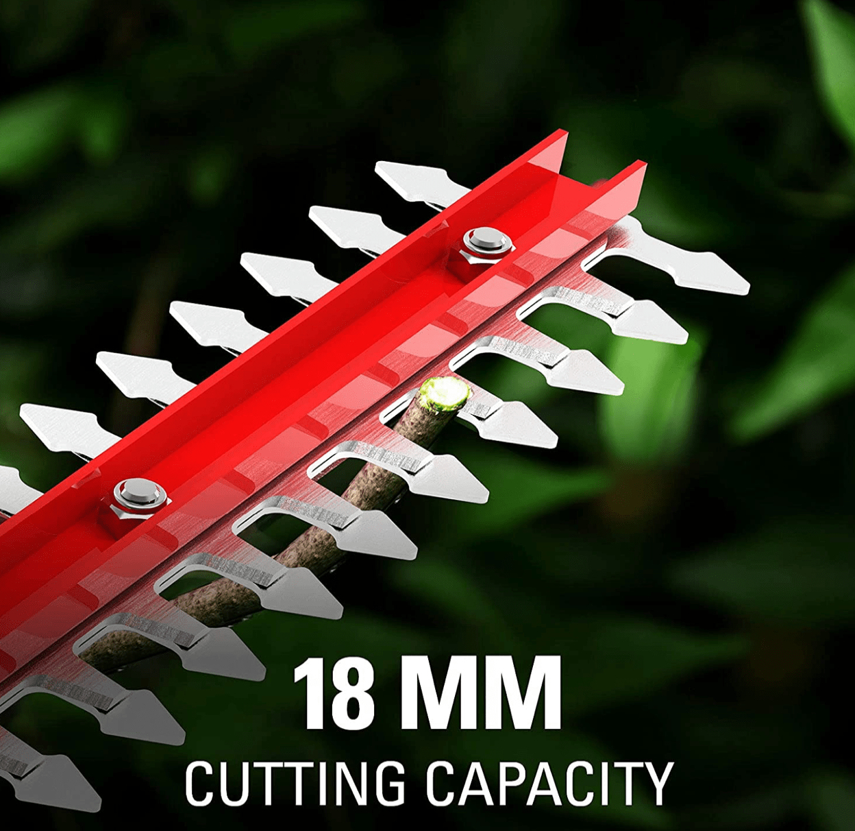 Zbliżenie nożyc do żywopłotu z czerwonymi uchwytami tnących gałąź.