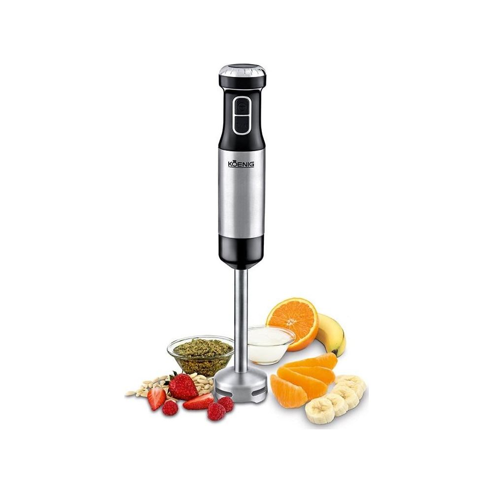 Ein silberner Stabmixer steht über Obst und Samen. Beinhaltet Beeren, Orangen, Bananen und Samen.