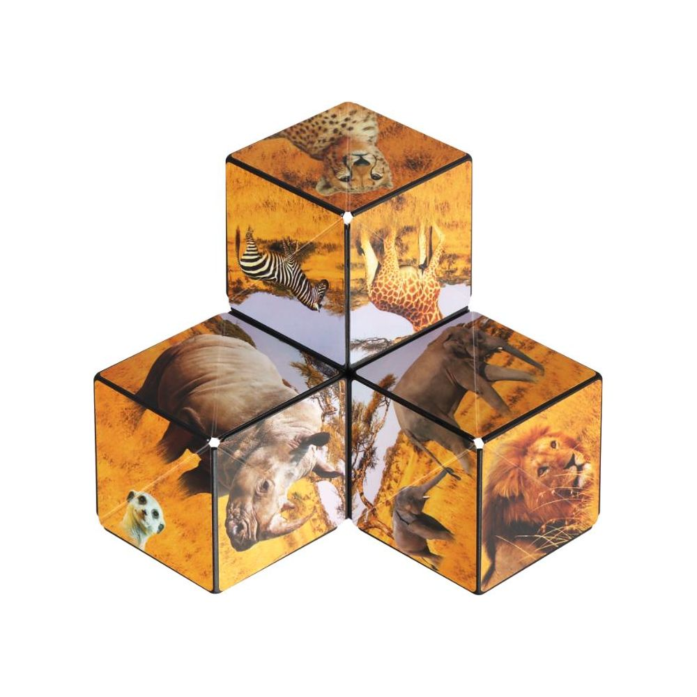 Cubi con animali africani: leopardo, zebra, giraffa, rinoceronte, elefante e leone.