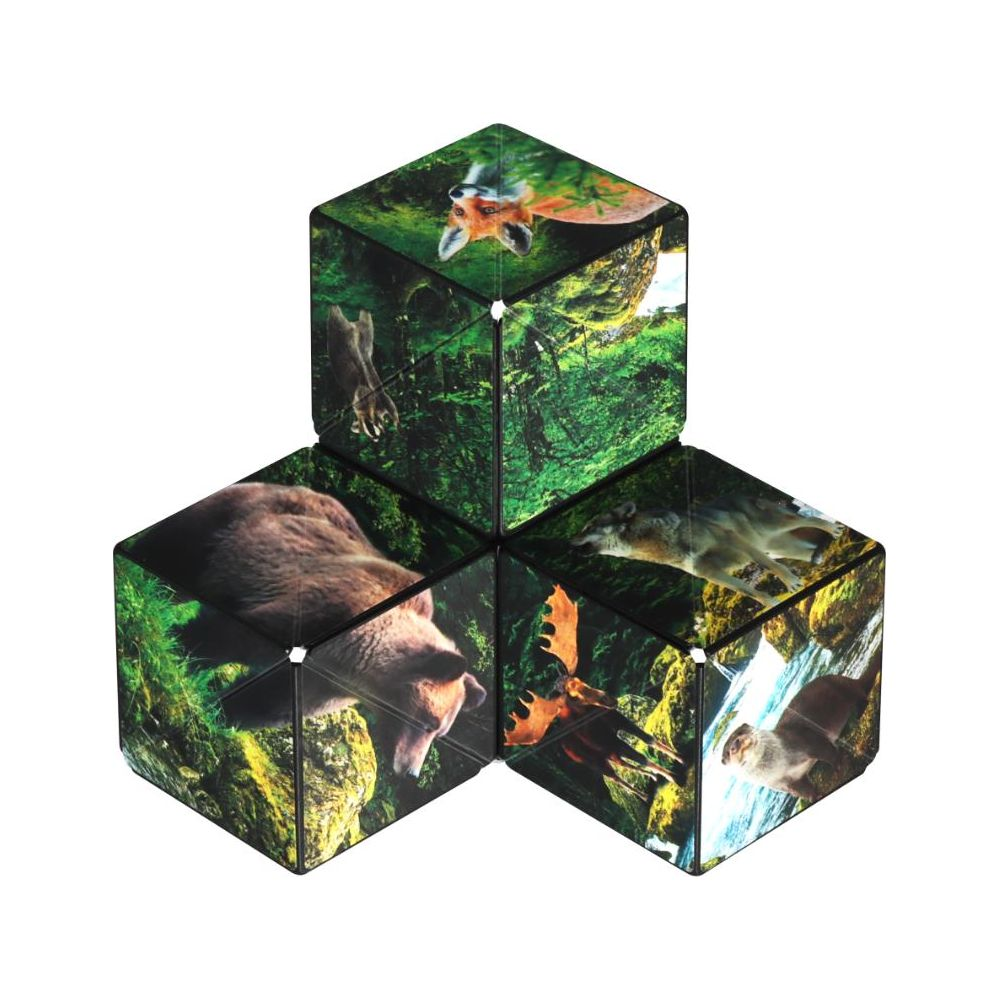 Quattro cubi mostrano animali del bosco: orso, volpe, lupo, alce, lontra su natura verde.