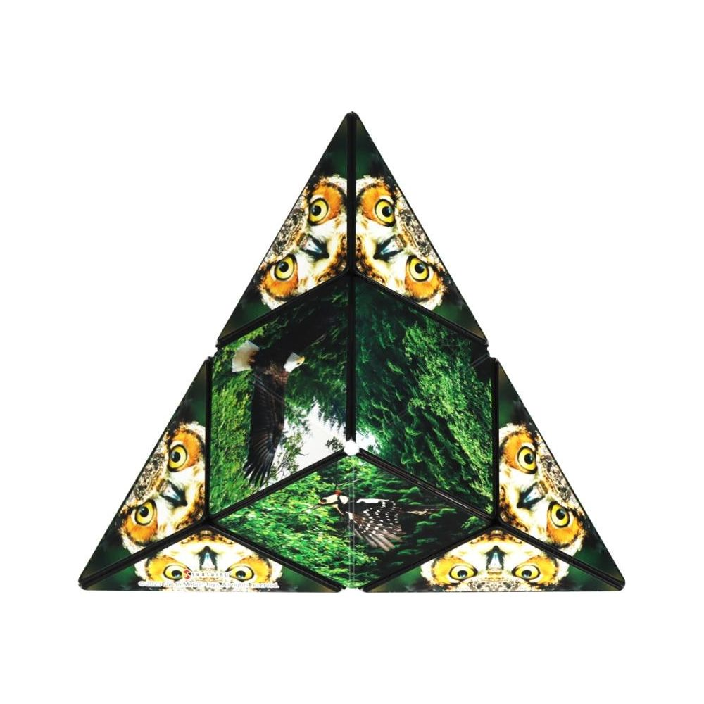 Puzzle triangolare con occhi di gufo e uccelli davanti a una foresta verde.