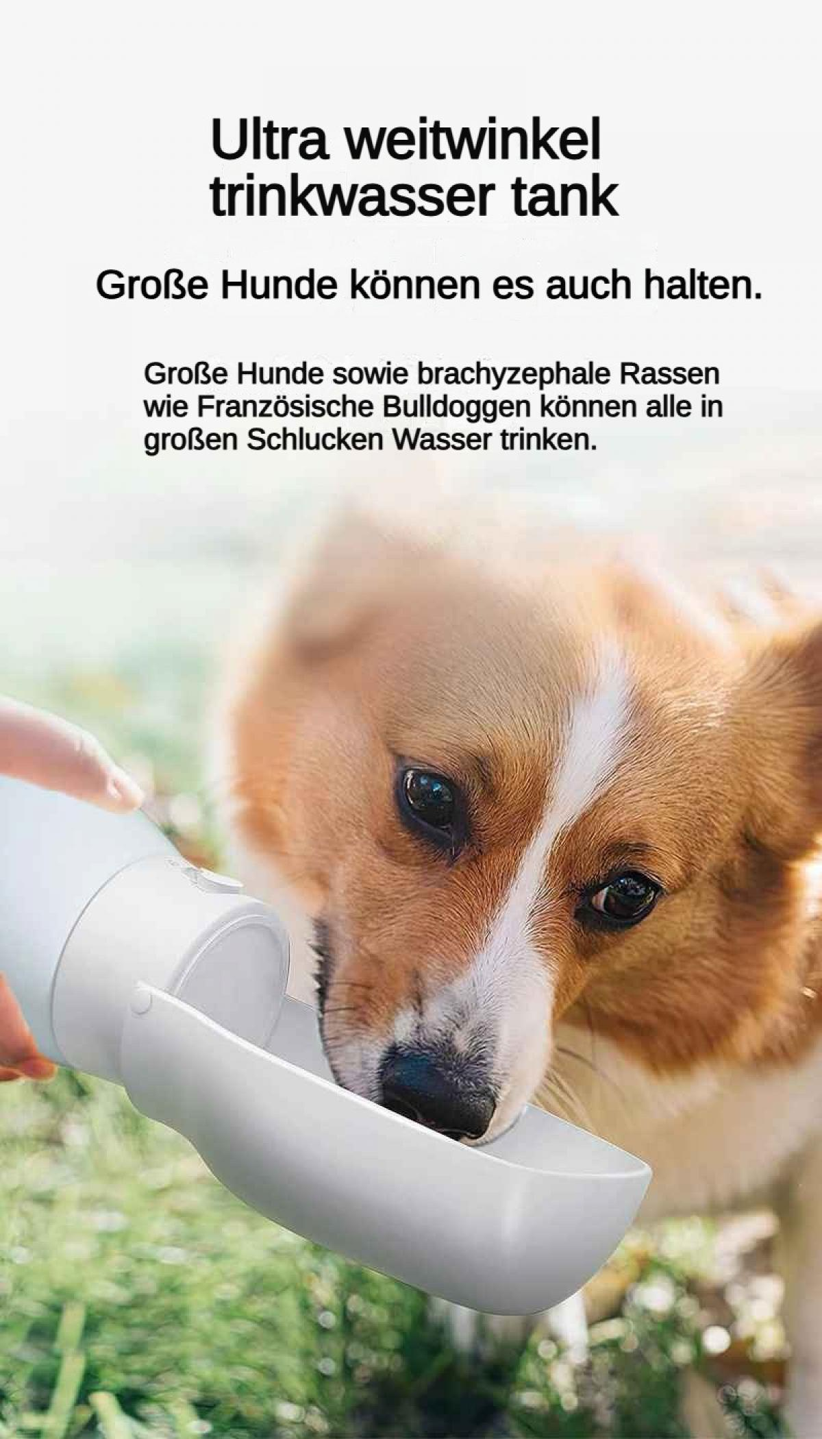 Ein Hund trinkt aus einem tragbaren Wassernapf. Nahaufnahme des Gesichts.