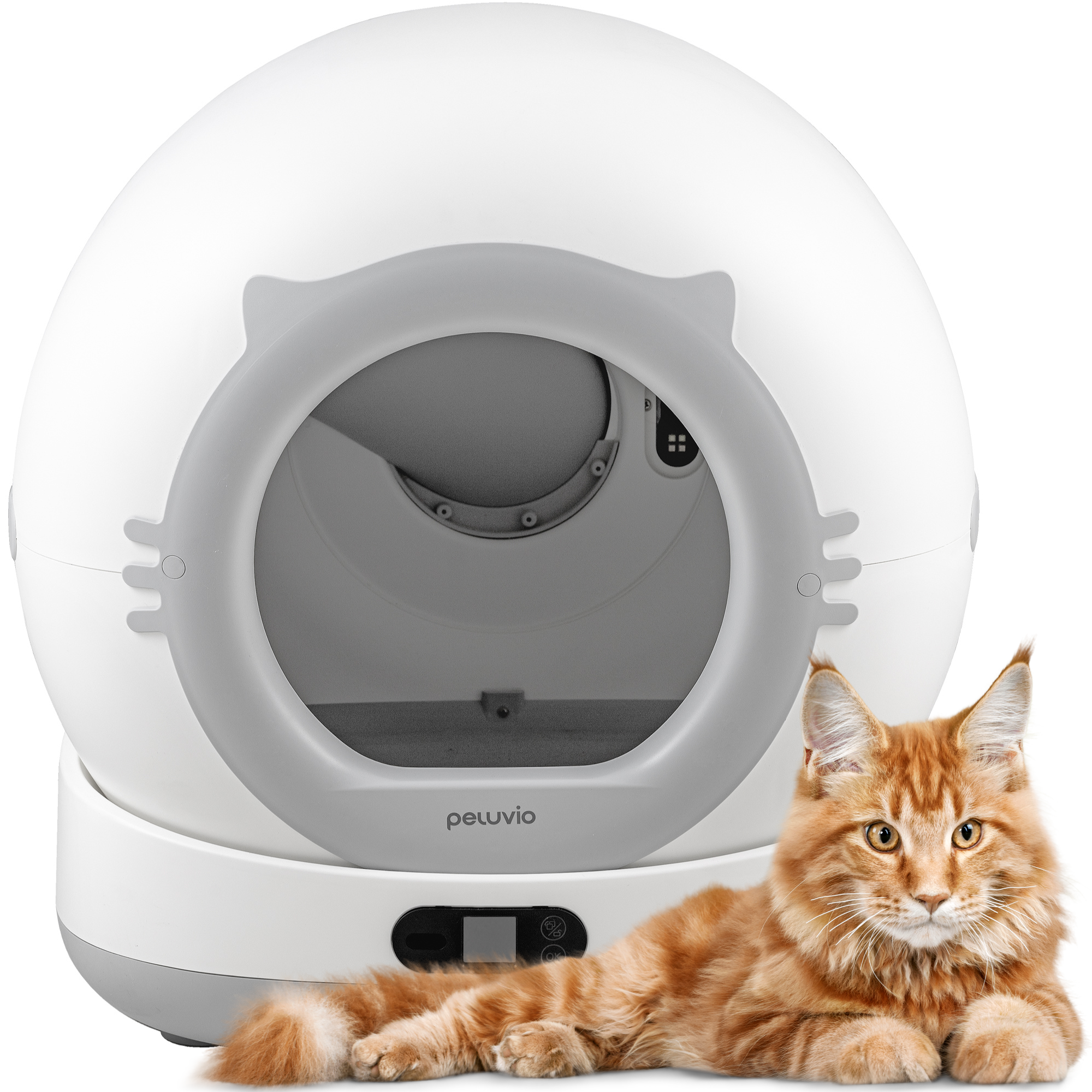 Orange Maine Coon Katze liegt neben einem weißen automatischen Katzenklo mit grauem Rand.