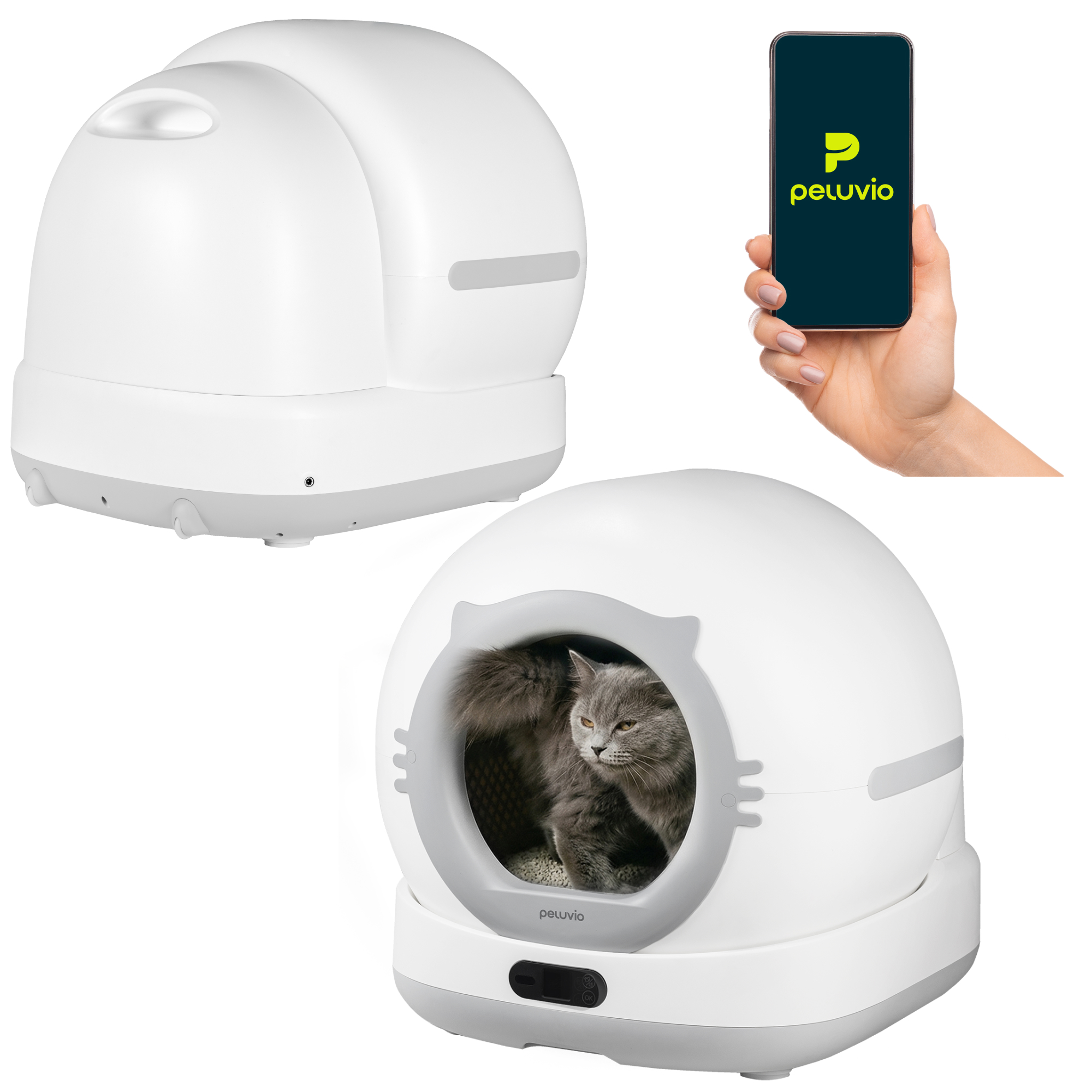 Ein grauer Kater sitzt in einer weißen Katzentoilette. Ein Handy zeigt das Logo.