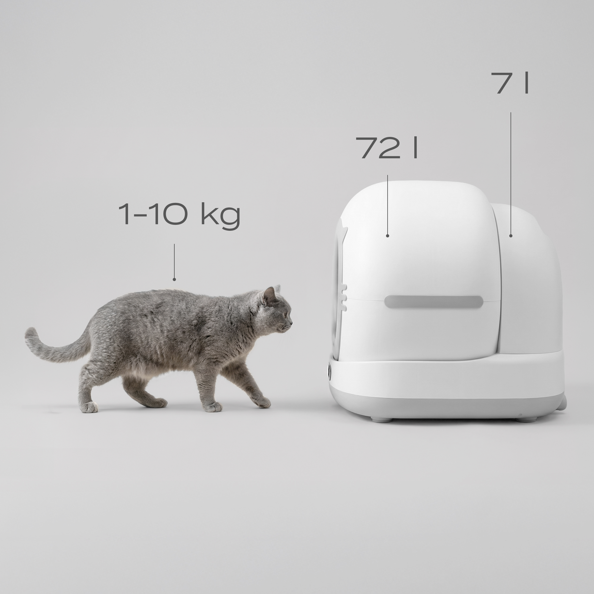 Eine graue Katze geht an einer weißen Katzentoilette vorbei. Maße sind angegeben.