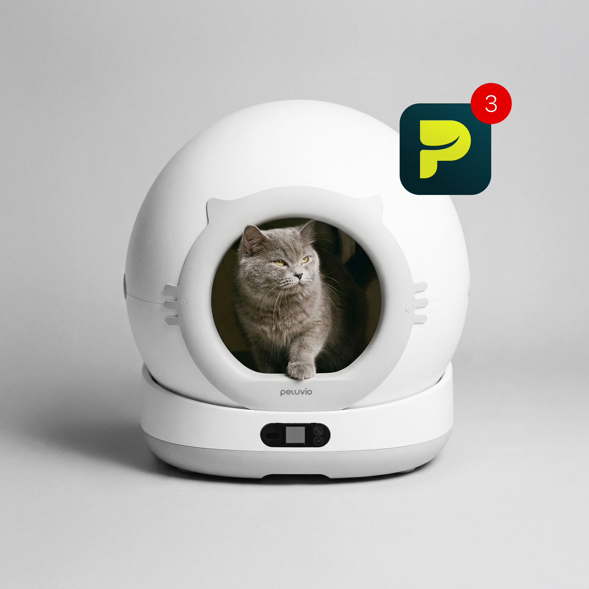 Eine graue Katze sitzt in einem weißen, kugelförmigen Katzenklo.
