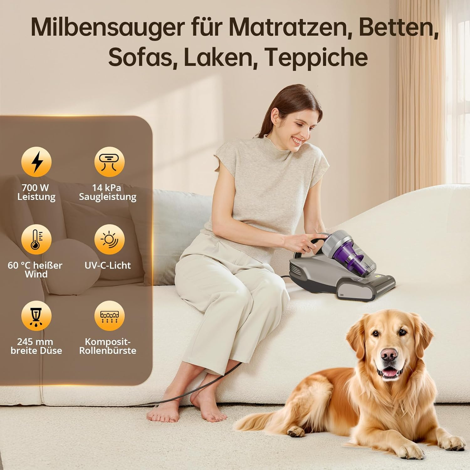 Frau mit Staubsauger auf Sofa, Hund liegt daneben. Spezifikationen links.