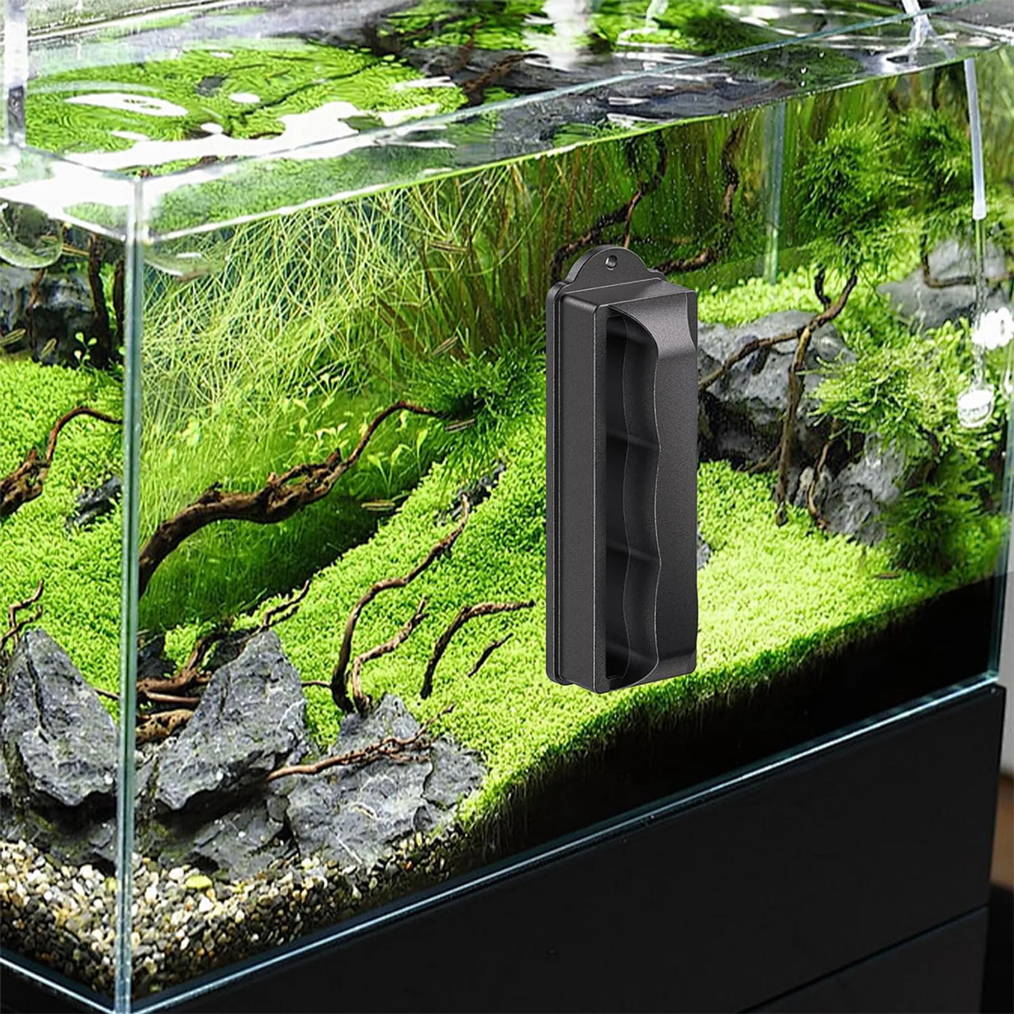 Ein schwarzer Aquarium-Scheibenreiniger haftet an der Außenseite eines üppig bepflanzten Aquariums.