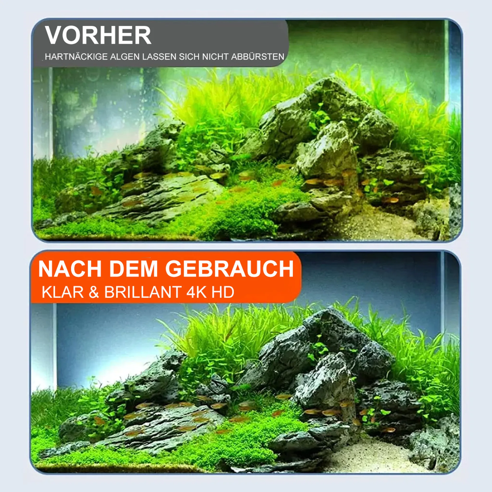 Aquarium mit Steinen, Pflanzen und Fischen, Vorher-Nachher-Vergleich.