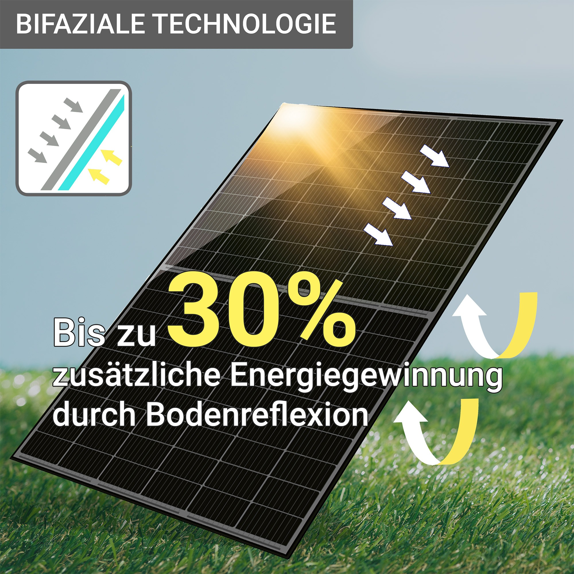 Bifaziale Solarmodule auf Gras, mit Pfeilen und 30% Zusatzgewinn.