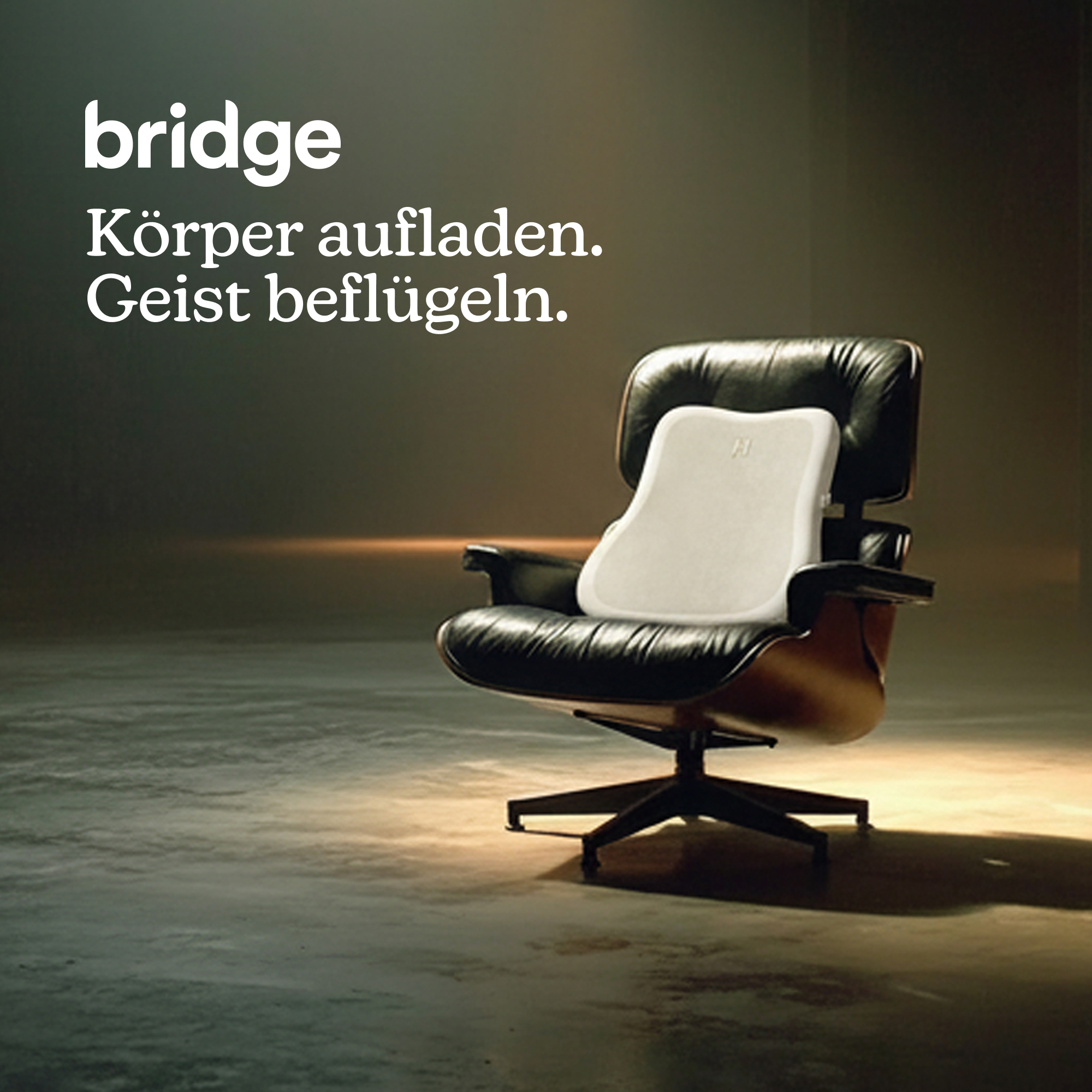 Ein schwarzer Ledersessel mit einem hellbeigen Stützkissen. Text im Hintergrund.