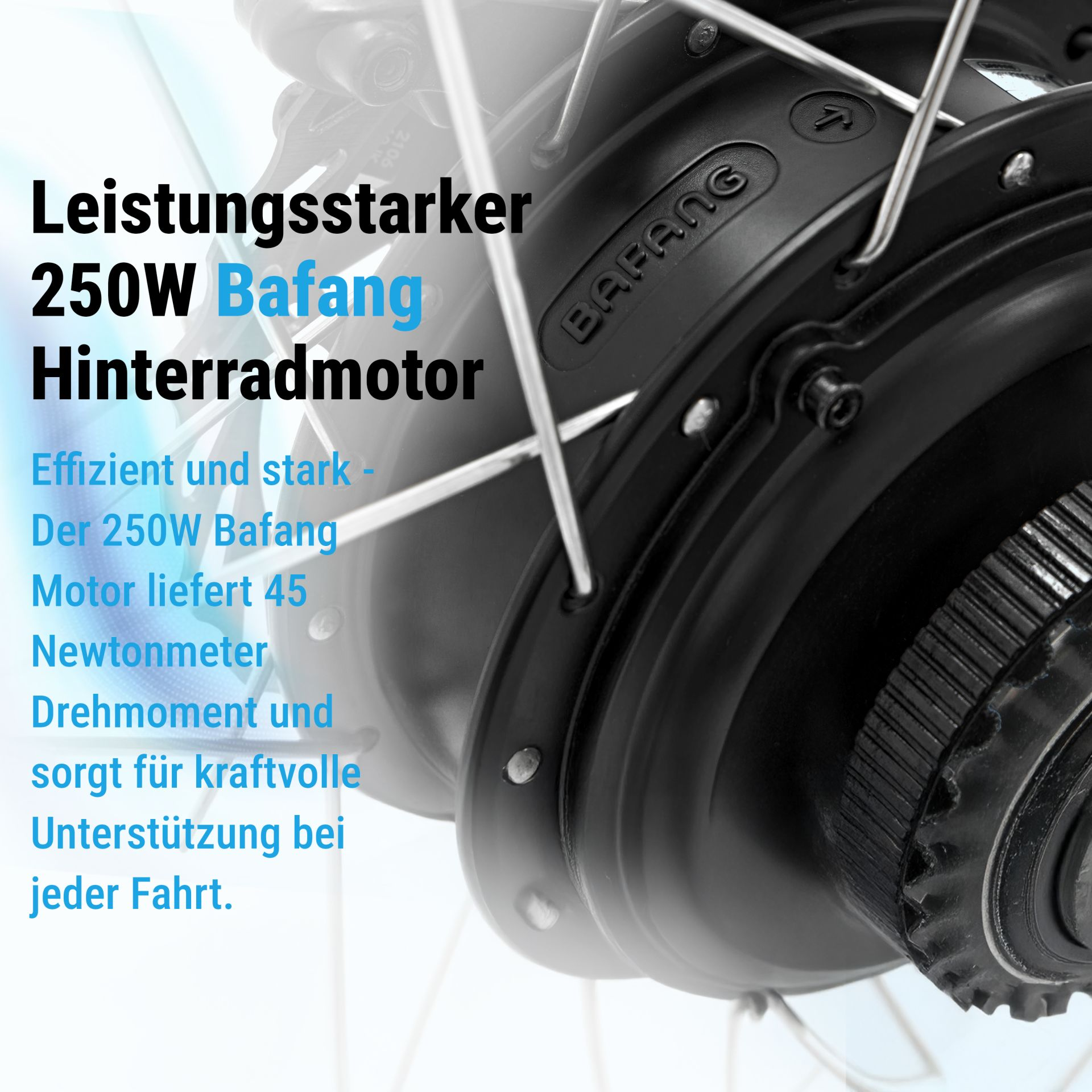 Nahaufnahme eines schwarzen Bafang 250W Hinterradmotors mit Speichen.