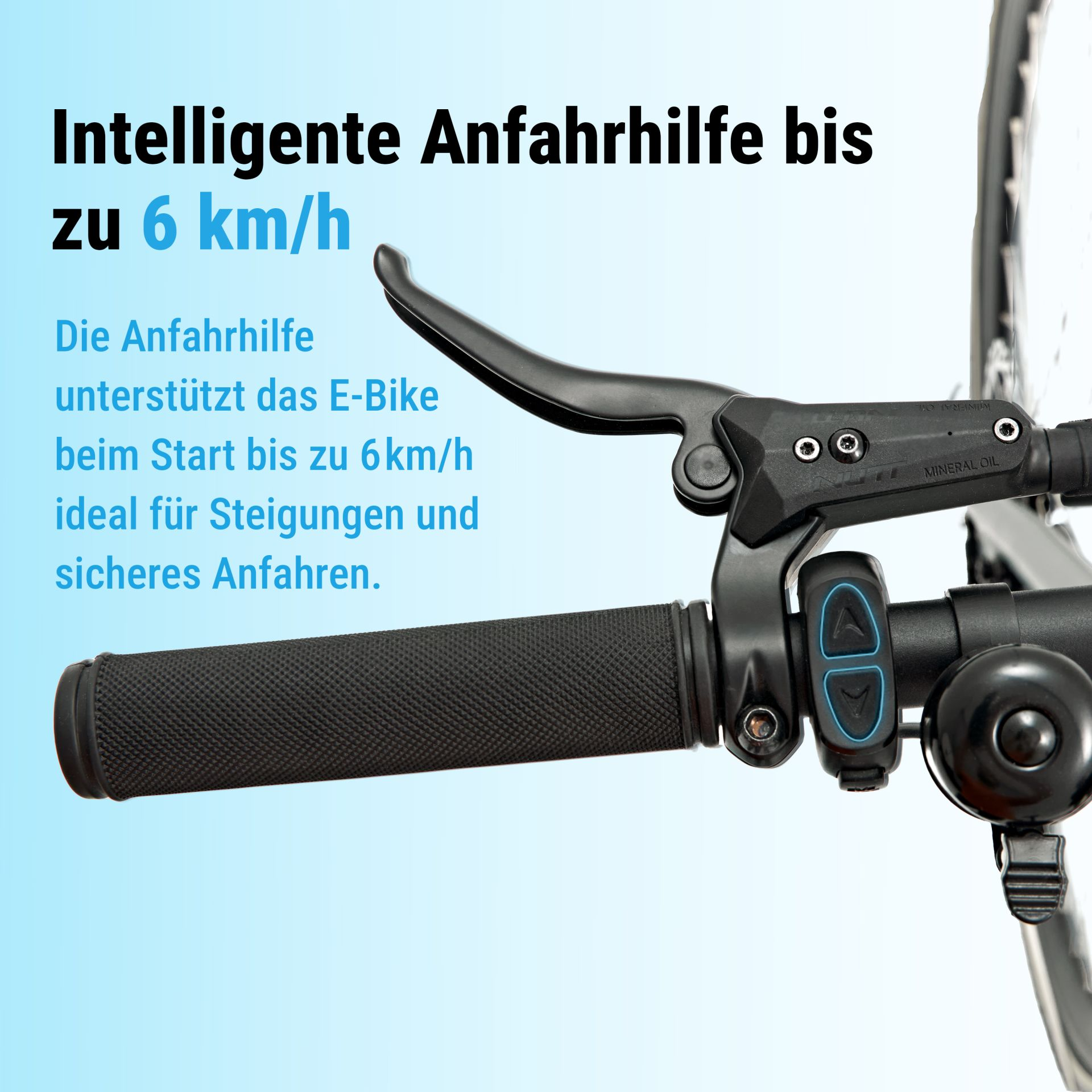 E-Bike Lenker mit Griff, Bremshebel und Bedienelementen für Anfahrhilfe.